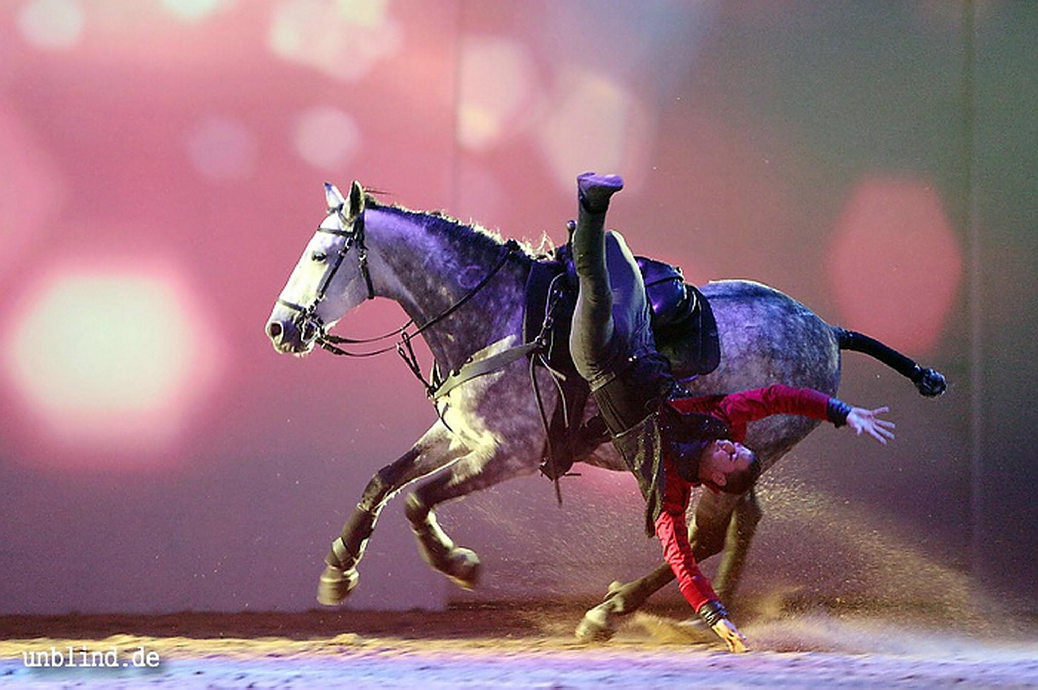 Apa2011 065 9212202656 o