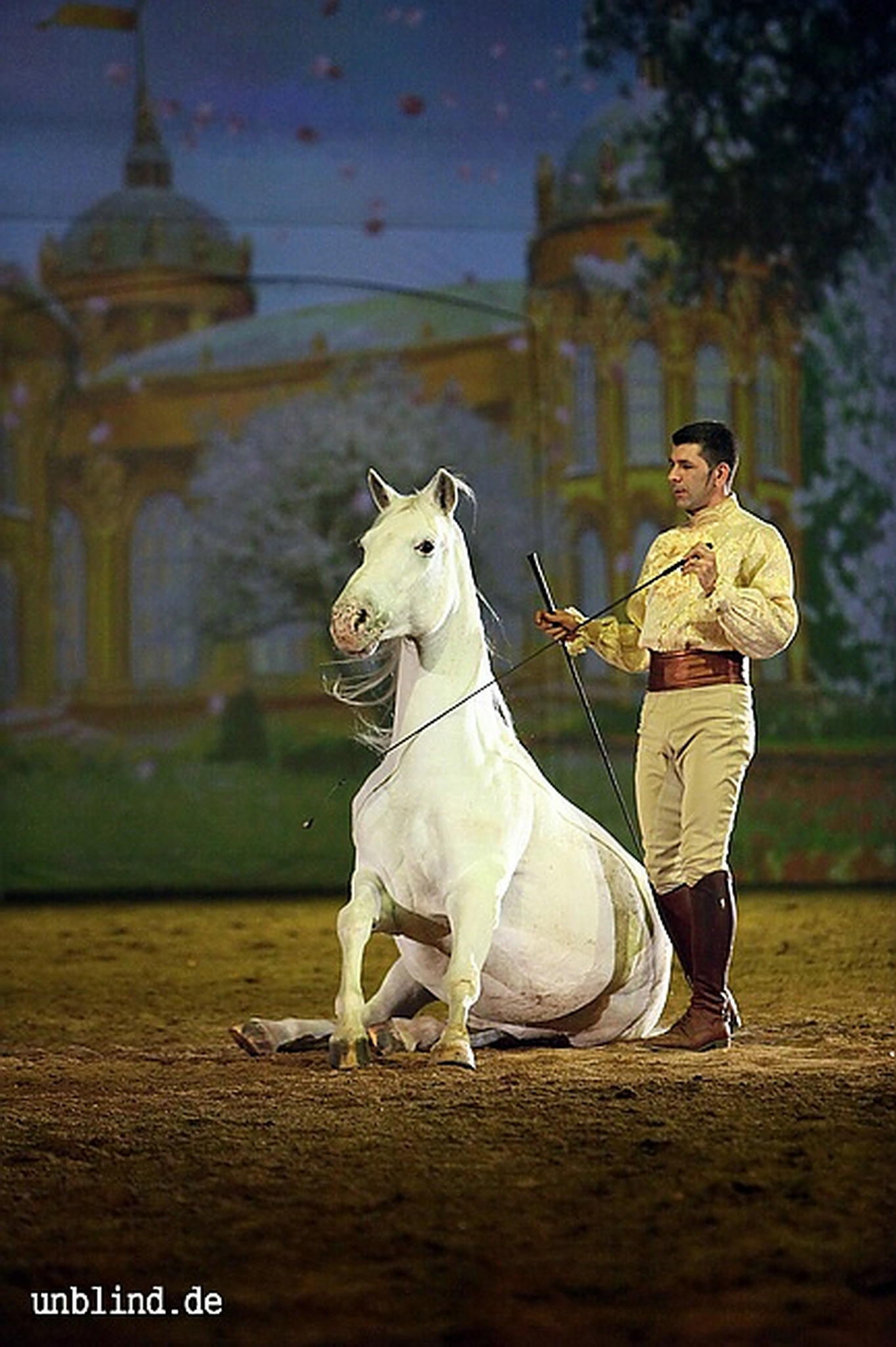 Apa2011 067 9212203526 o