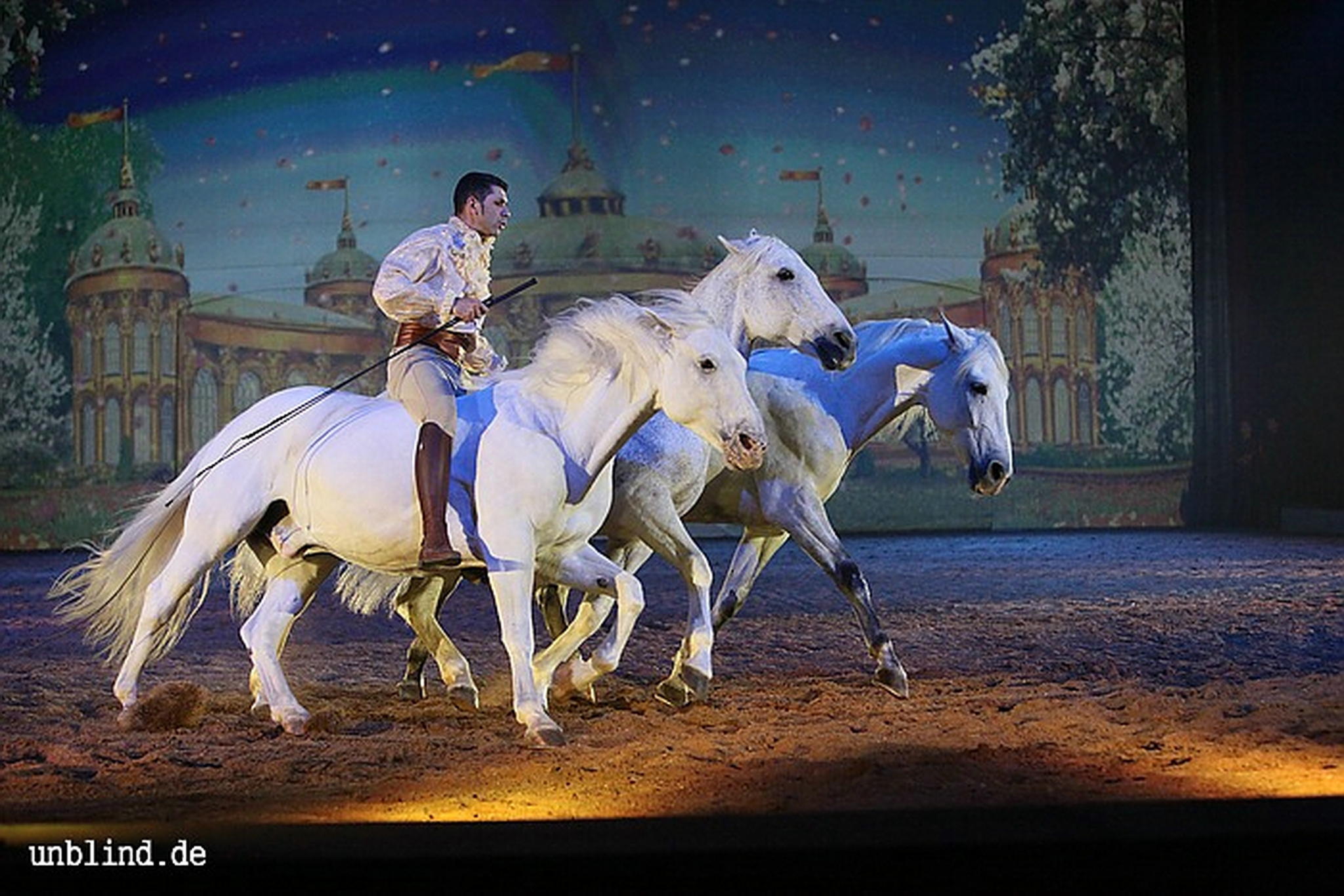 Apa2011 068 9212203832 o