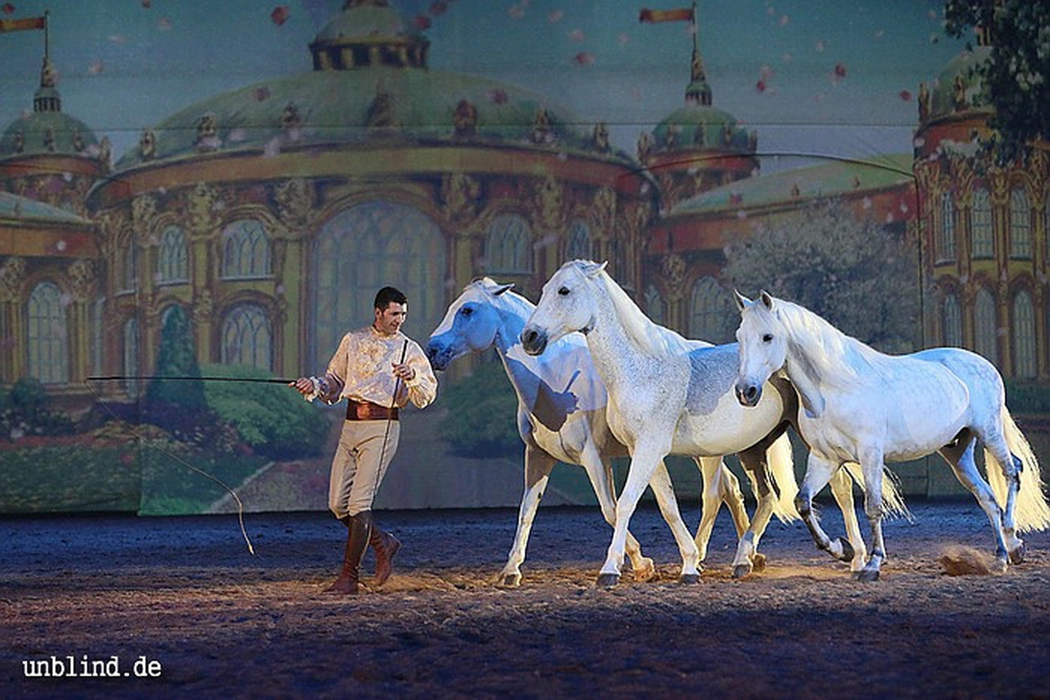 Apa2011 069 9209420931 o