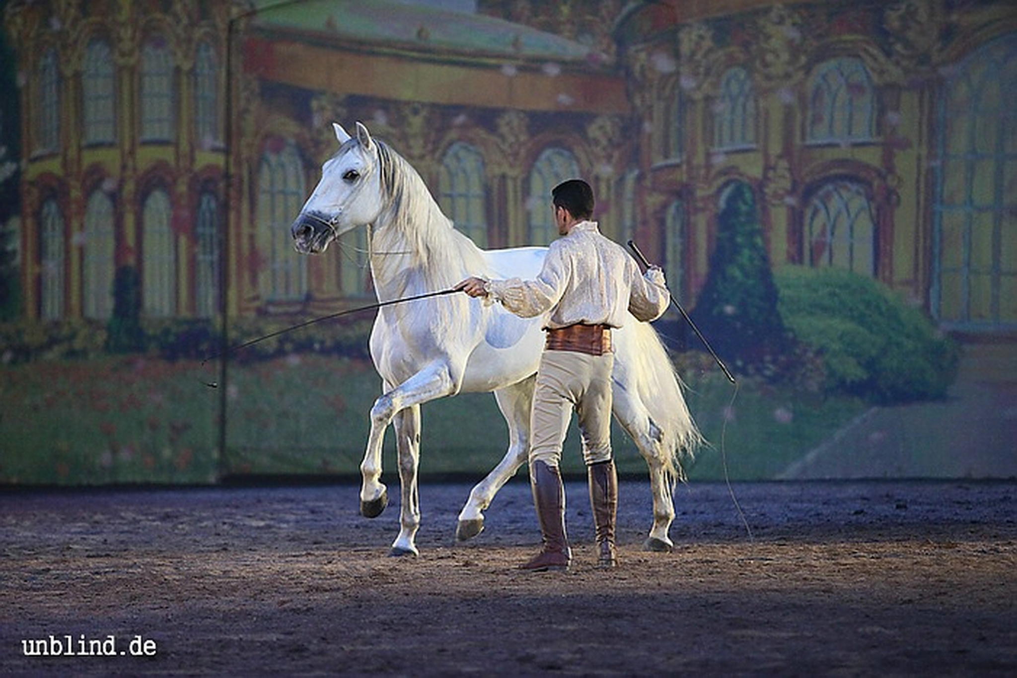 Apa2011 072 9212205104 o