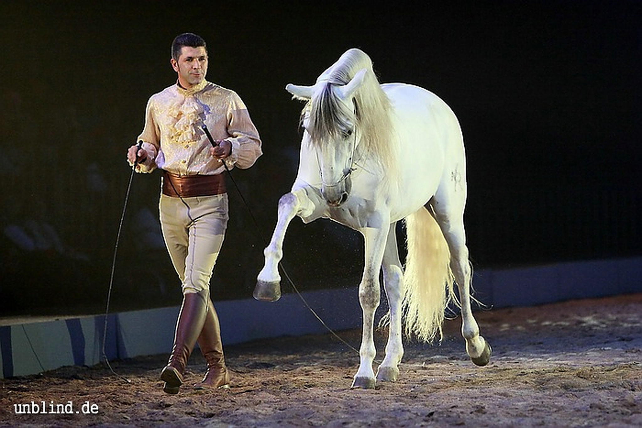 Apa2011 074 9212205624 o