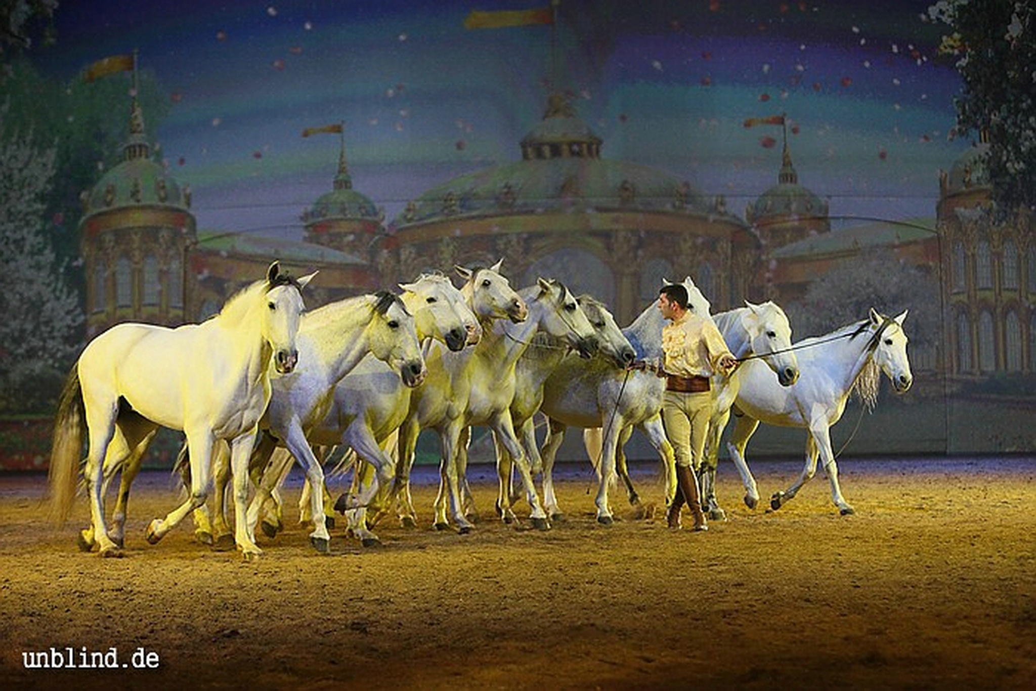 Apa2011 075 9212205958 o