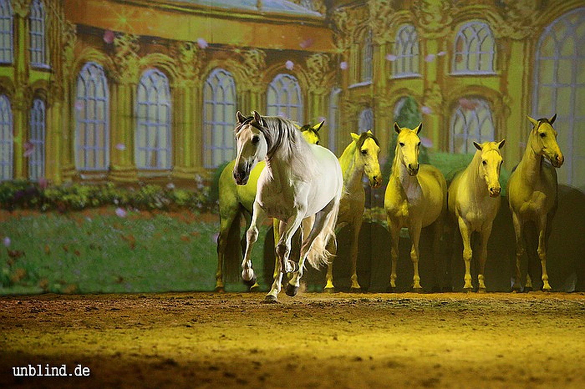 Apa2011 081 9212207650 o