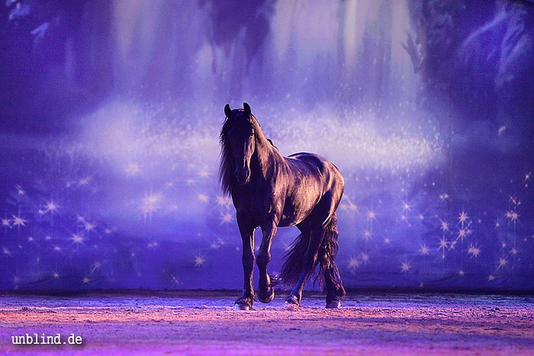 Apa2011 082 9212207962 o