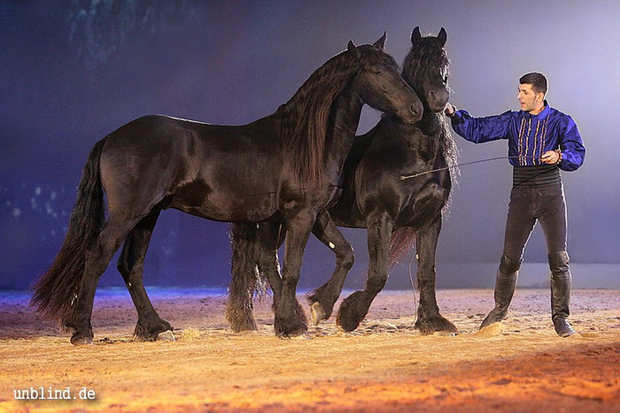 Apa2011 083 9209425011 o