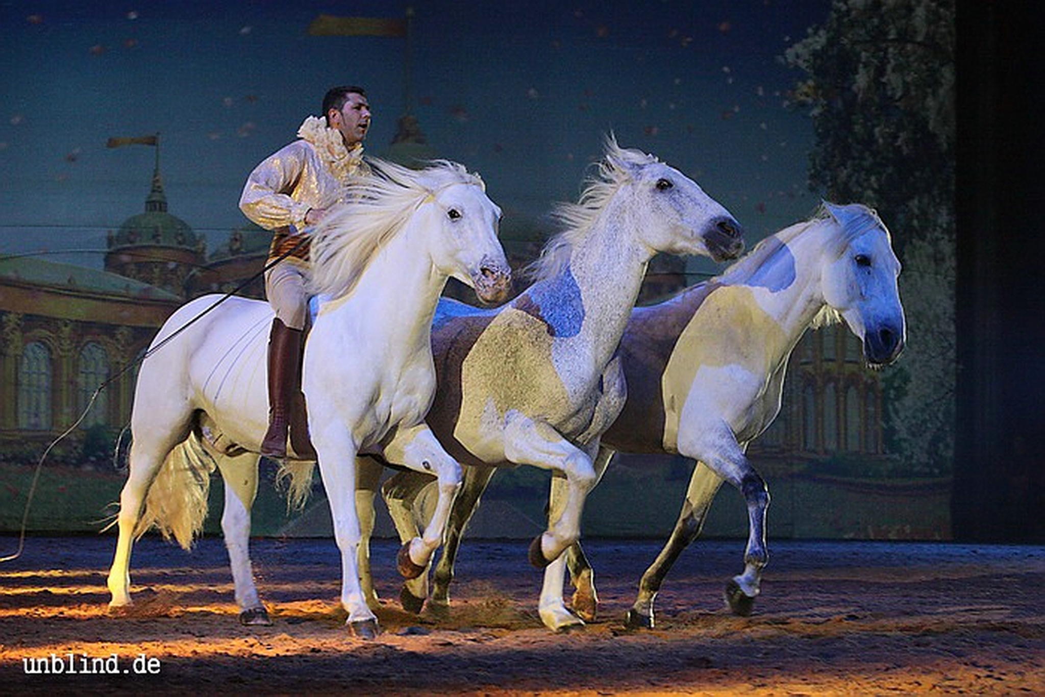 Apa2011 084 9212208420 o