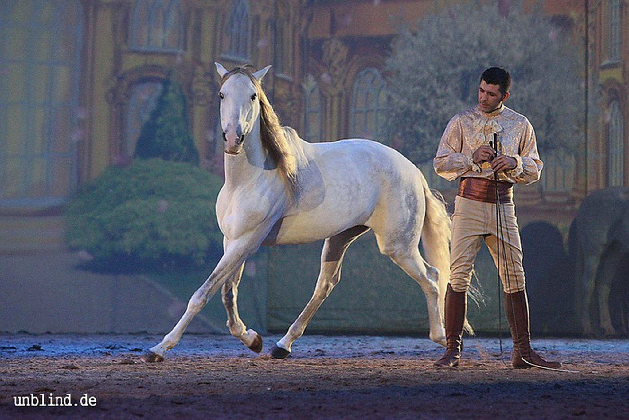 Apa2011 085 9212208698 o