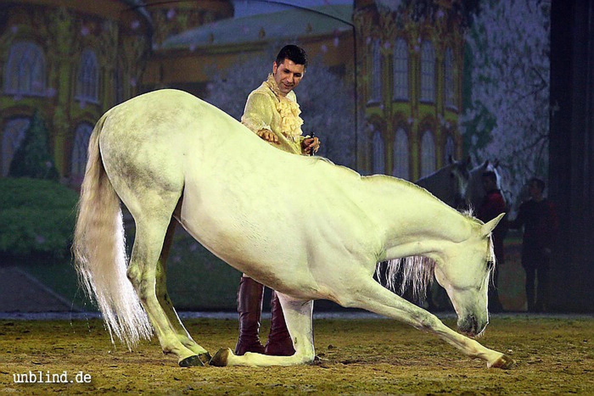 Apa2011 086 9212209084 o