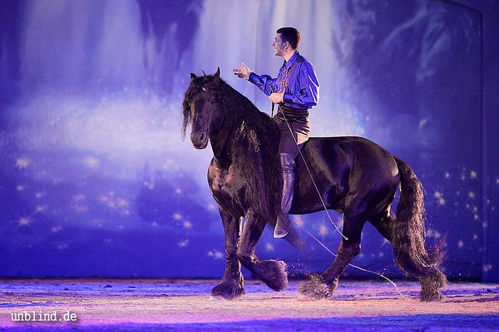 Apa2011 089 9212209974 o