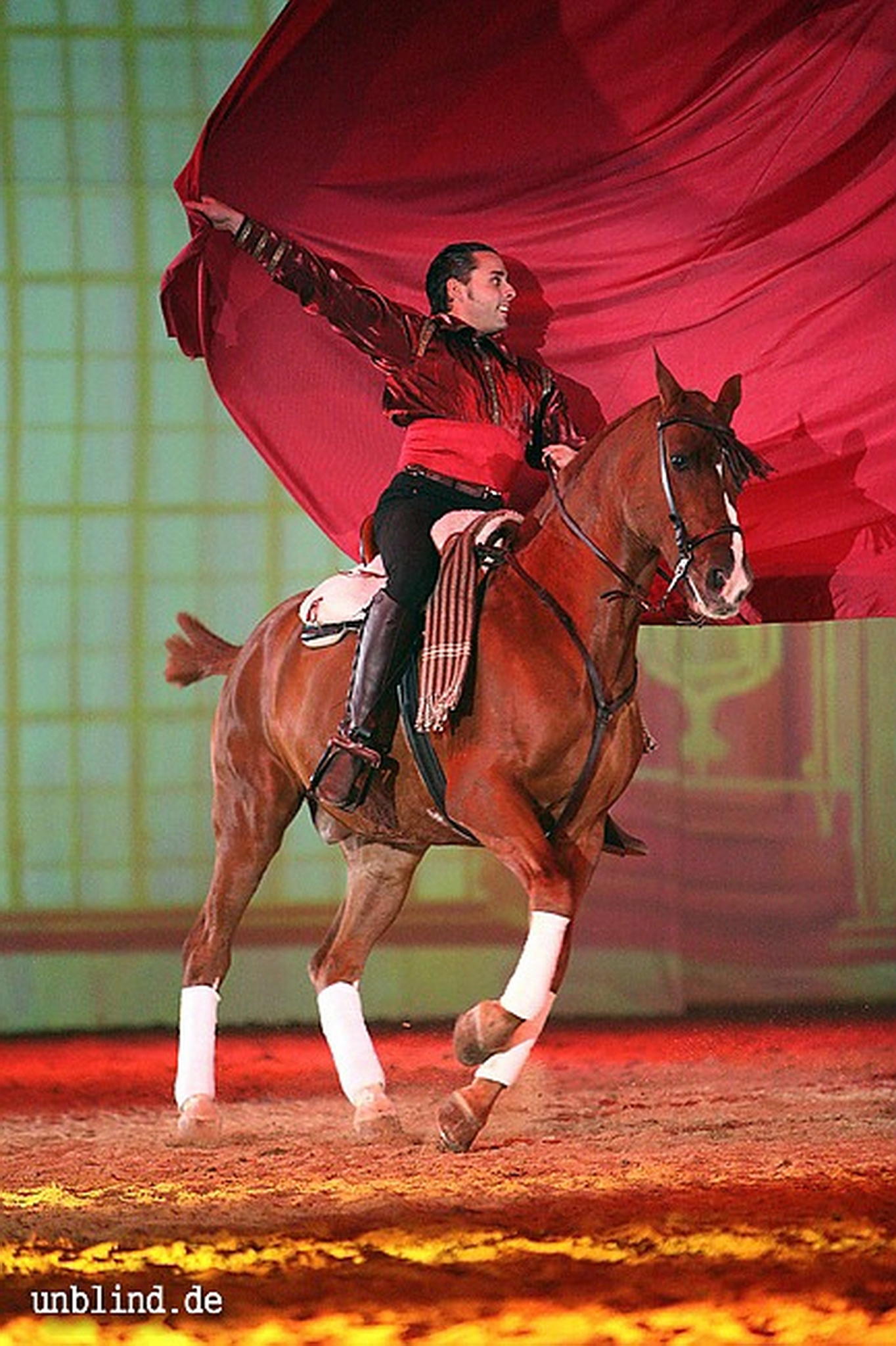 Apa2011 096 9209428623 o