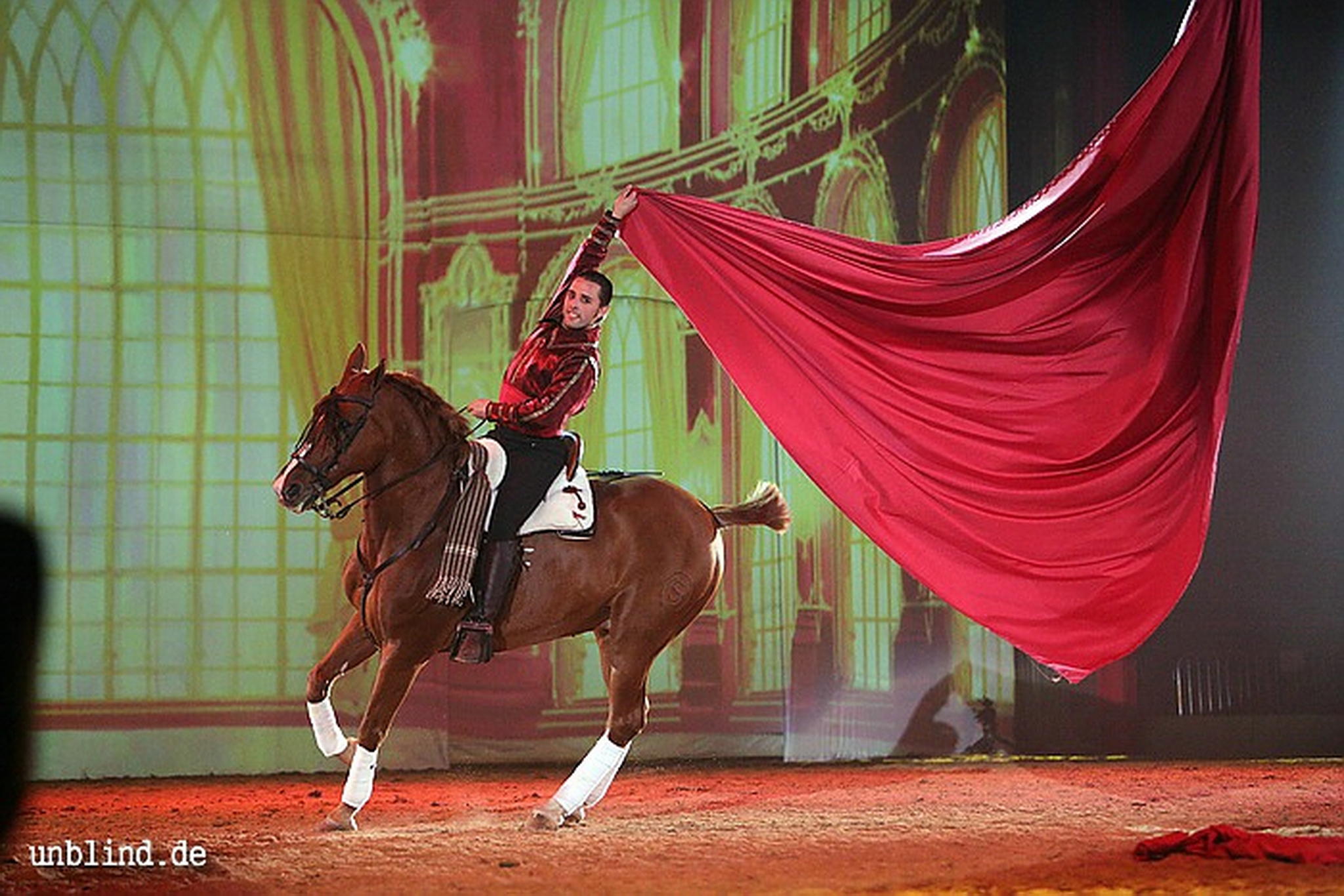 Apa2011 098 9212212374 o