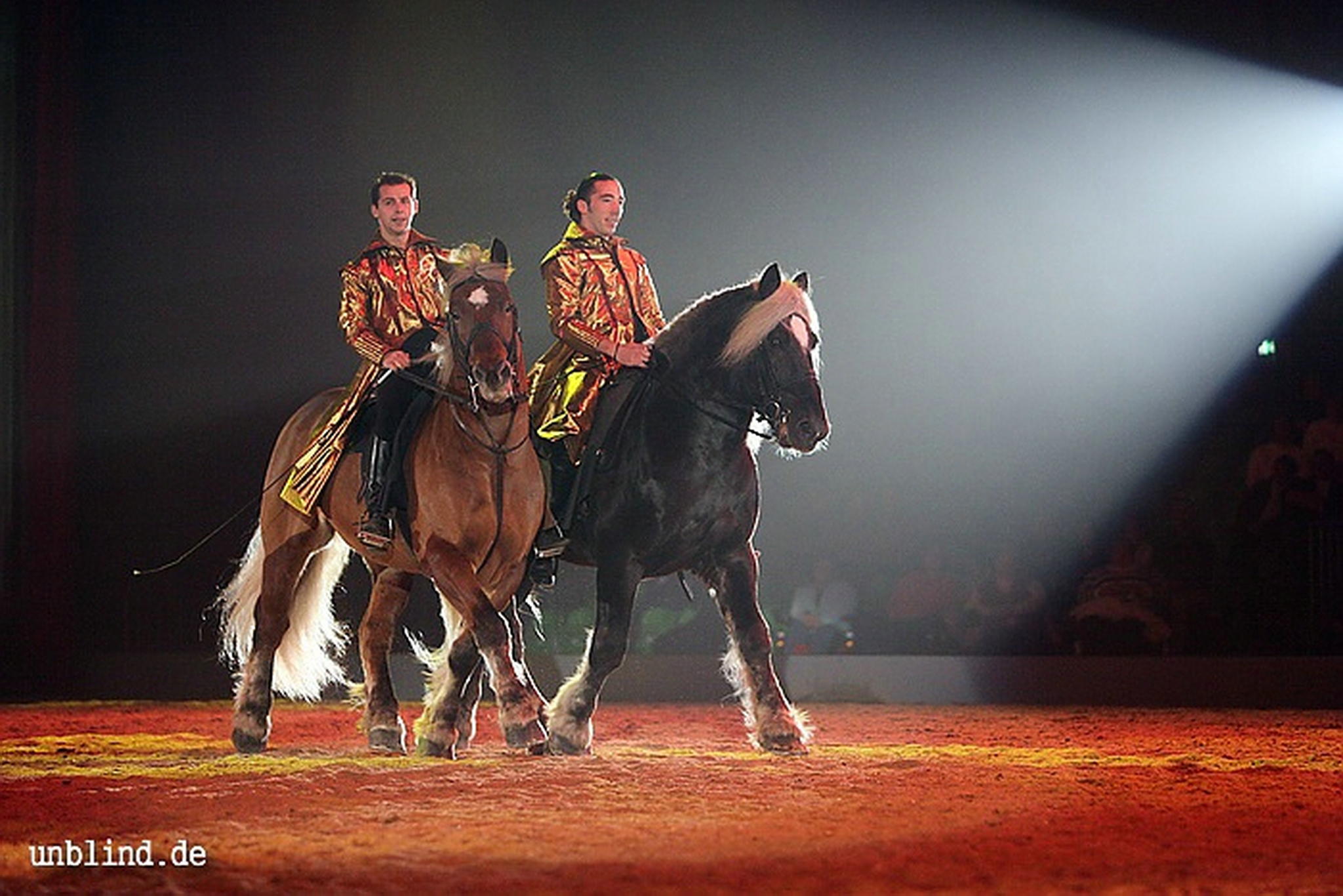 Apa2011 112 9212216130 o