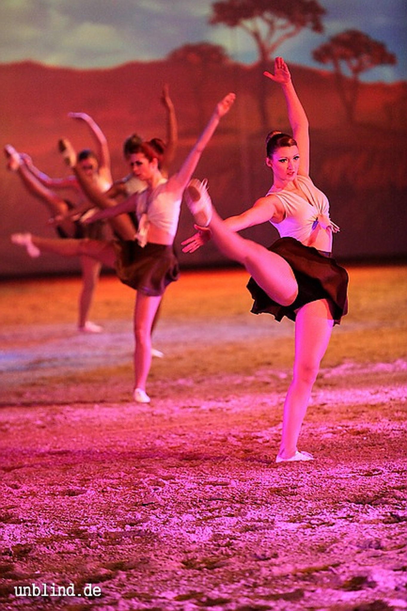 Apa2011 120 9212218384 o