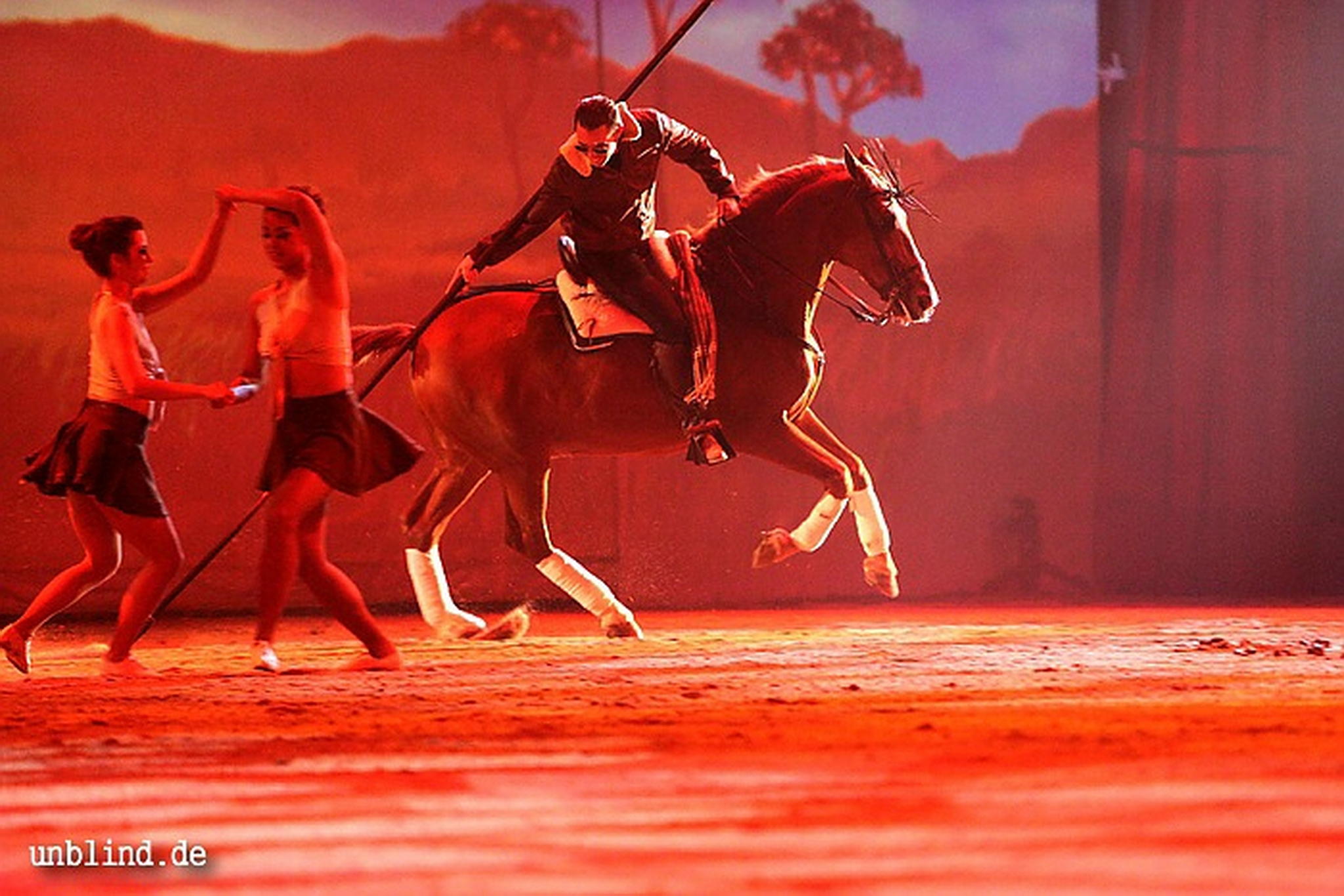 Apa2011 128 9212220842 o