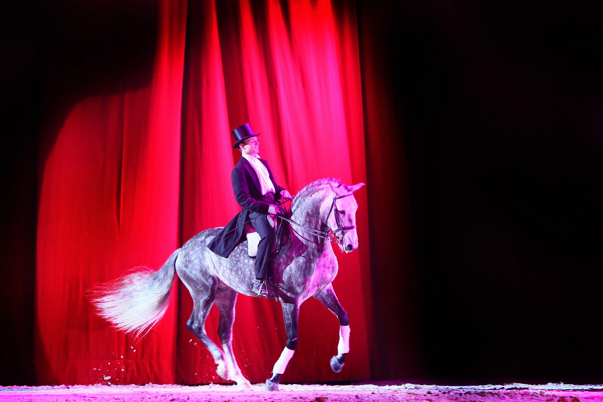 Apa sternenkind 2008 007 12057515816 o