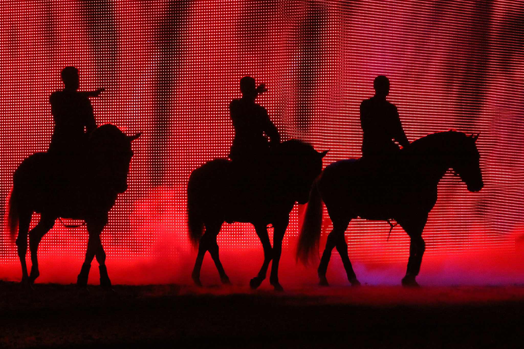 Apa sternenkind 2008 008 12056662255 o