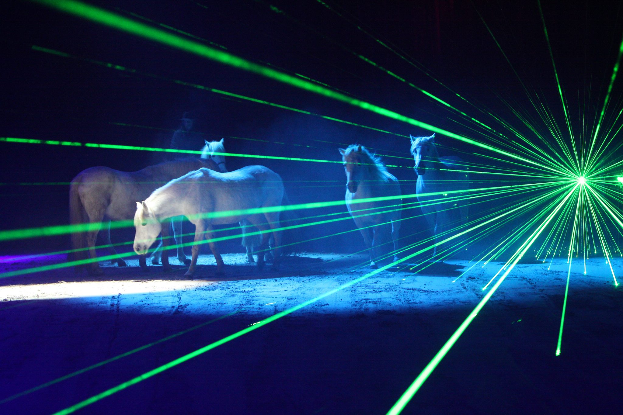 Apa sternenkind 2008 039 12057229814 o