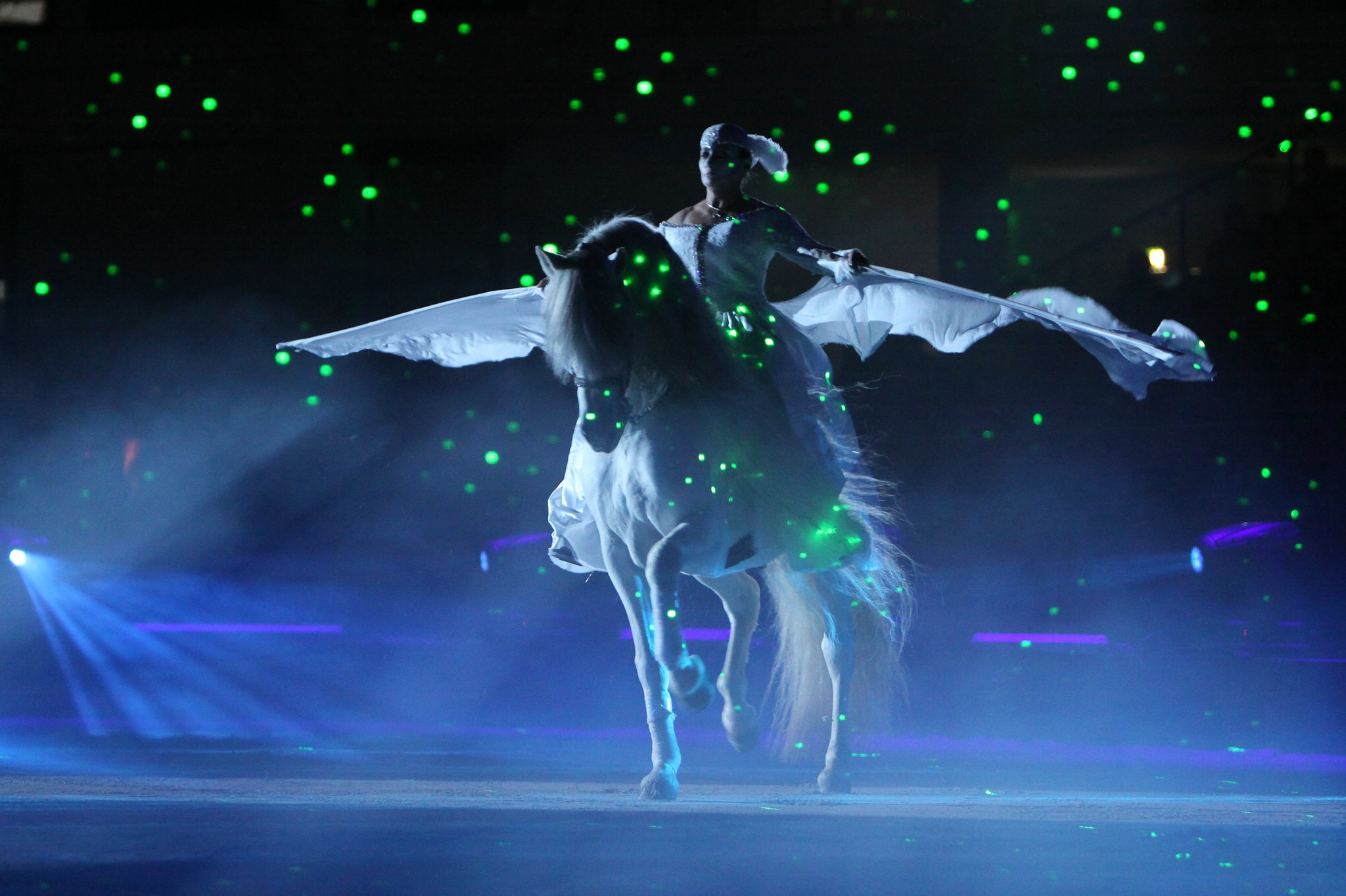 Apa sternenkind 2008 045 12057169743 o