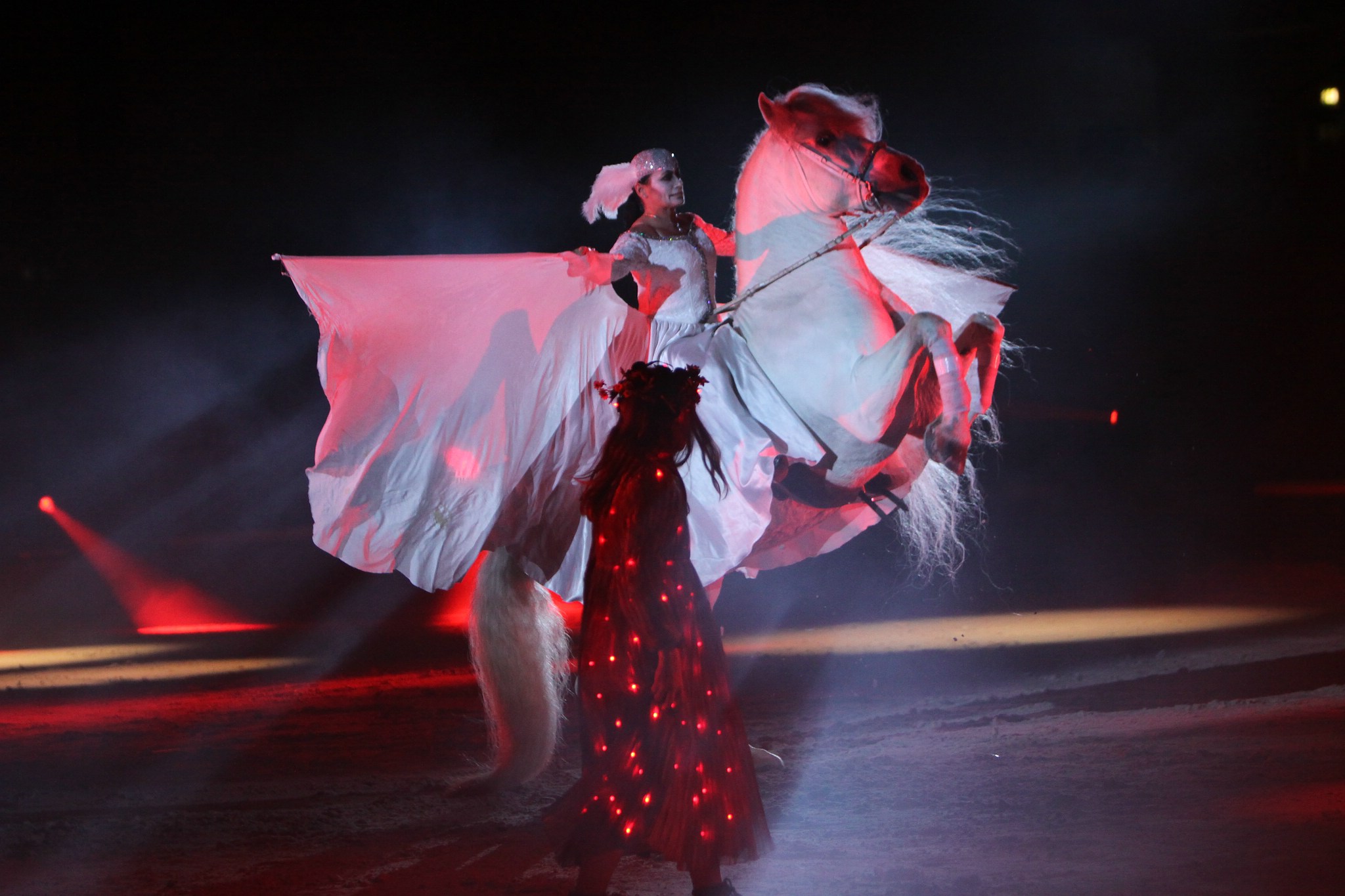 Apa sternenkind 2008 051 12057773336 o