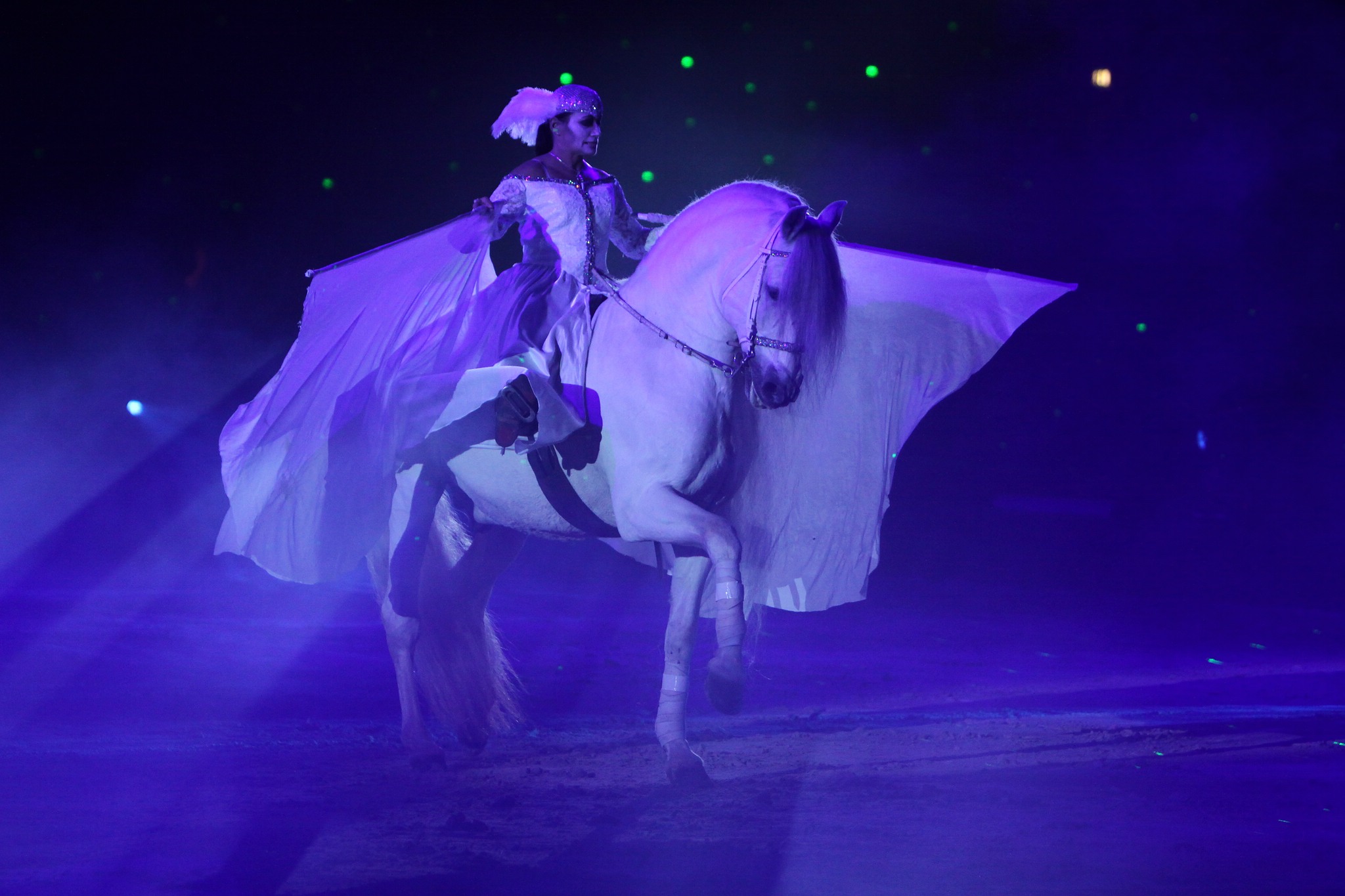 Apa sternenkind 2008 053 12057794576 o