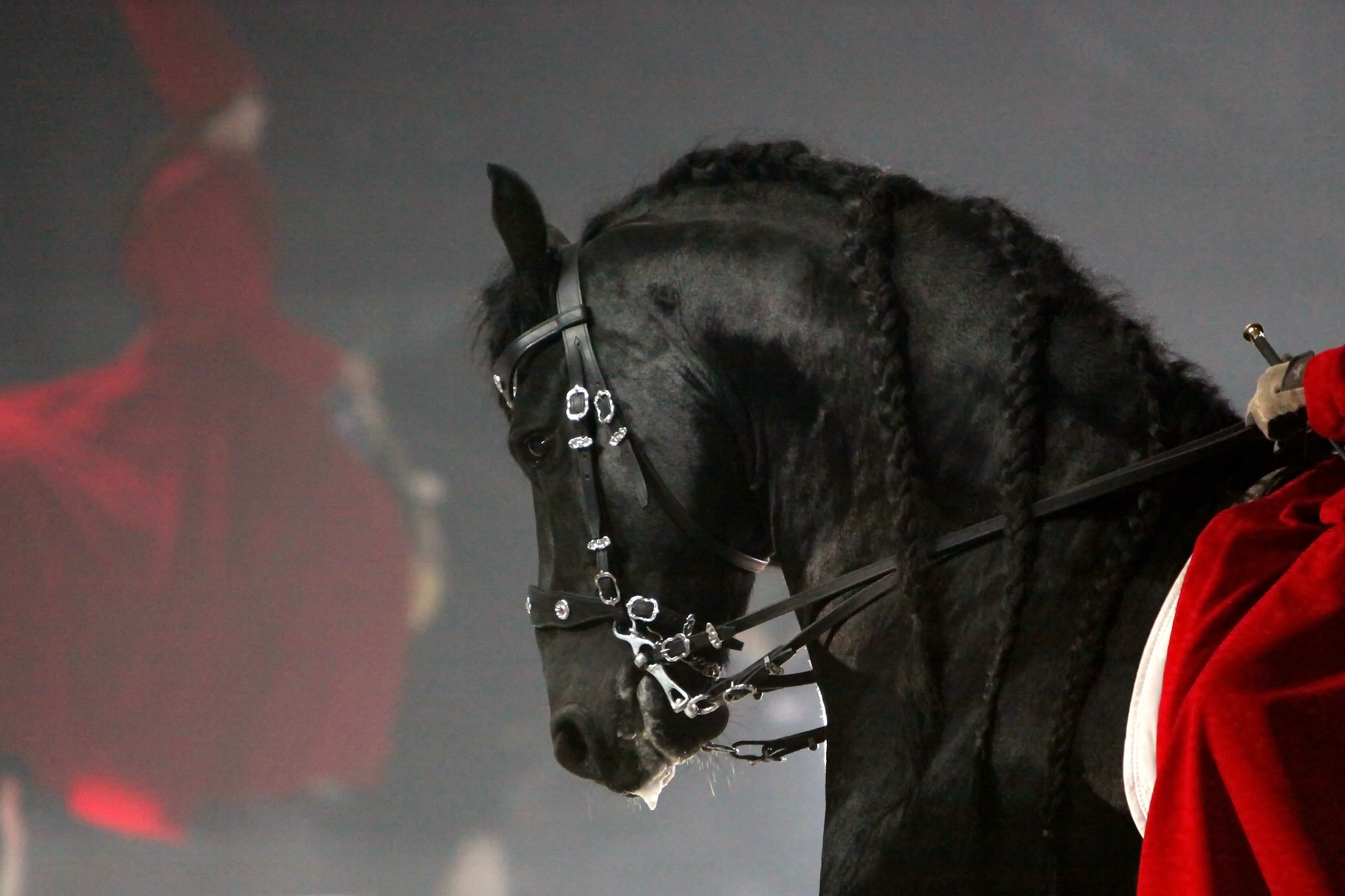 Apa sternenkind 2008 059 12056968345 o