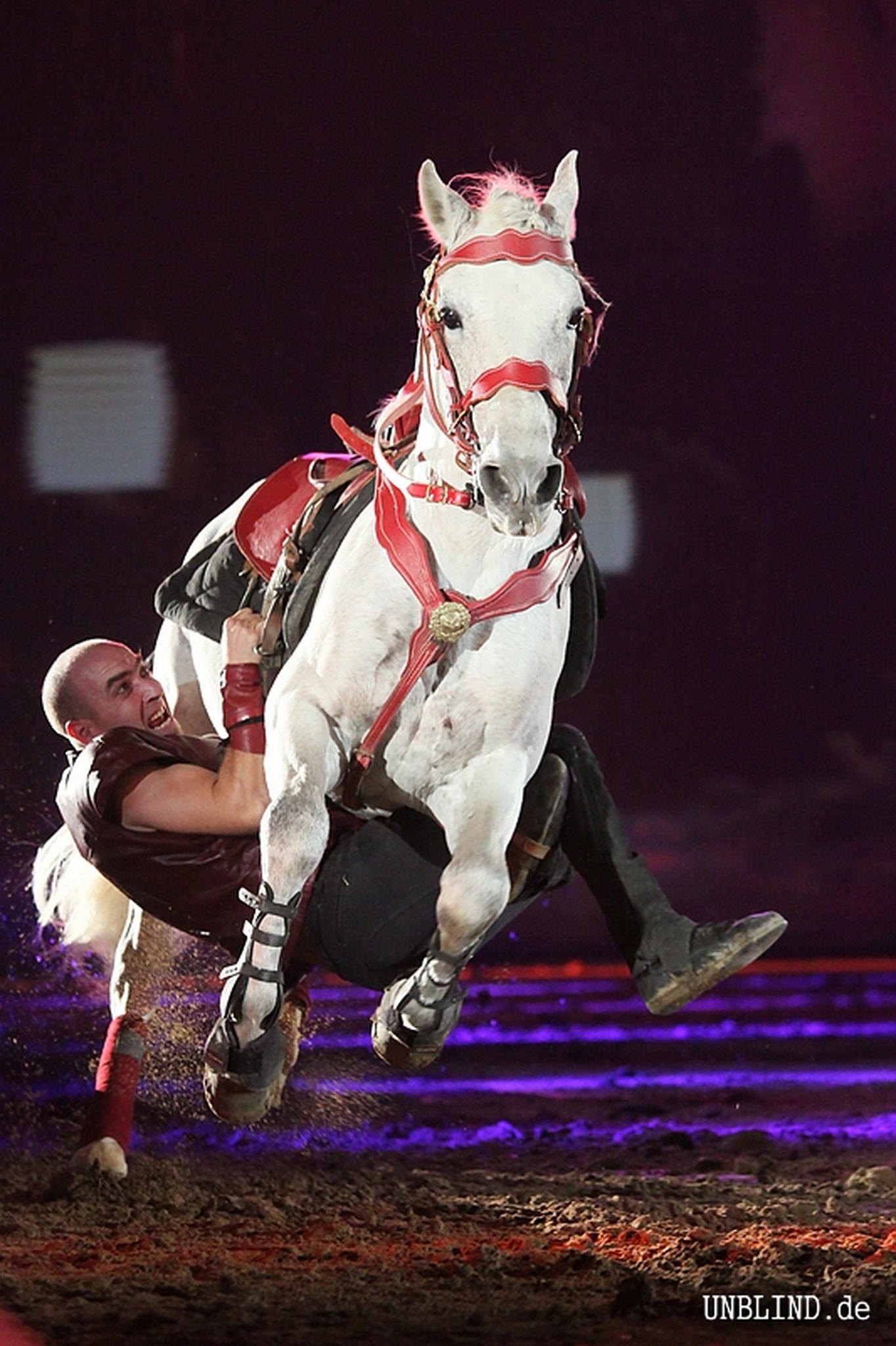 Apassionata 2010 c 5999441160 o