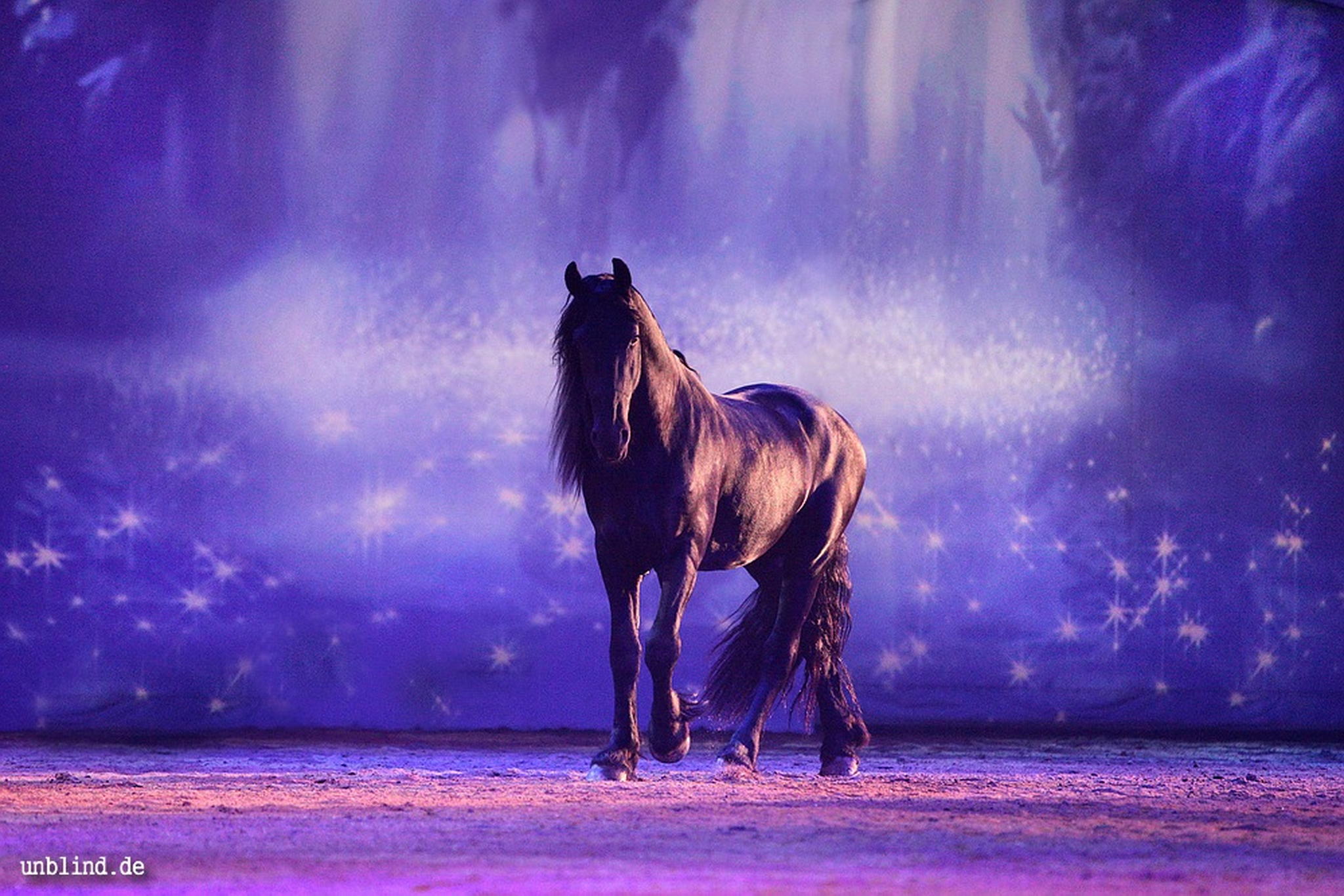 Apassionata 2011 004 6340327597 o