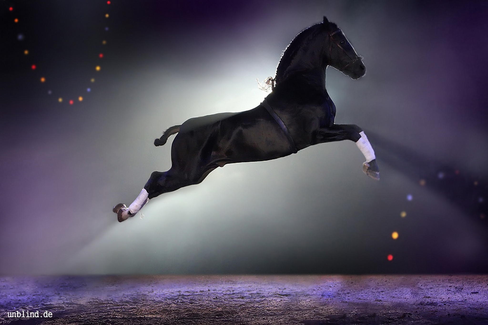 Apassionata 2011 6348204730 o