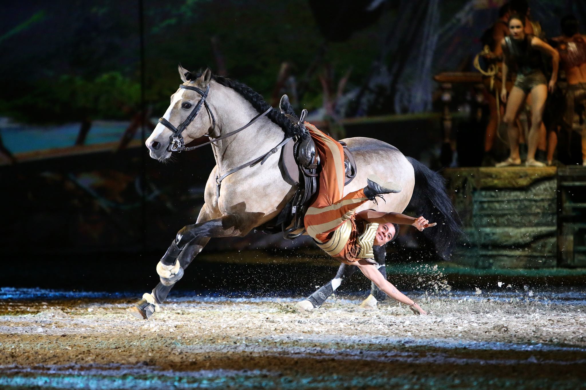 Apassionata 2016 0060 30812279110 o