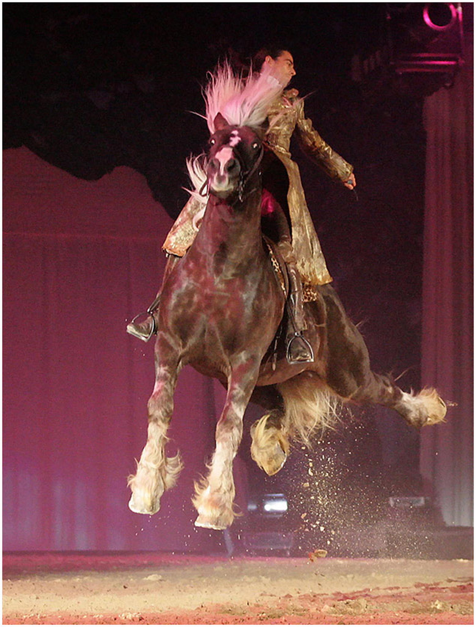 Arnaud gillette 3 6011000292 o