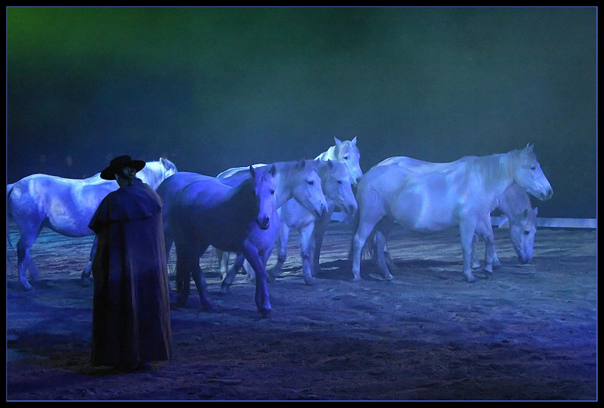 Camarguehirte 6009217915 o