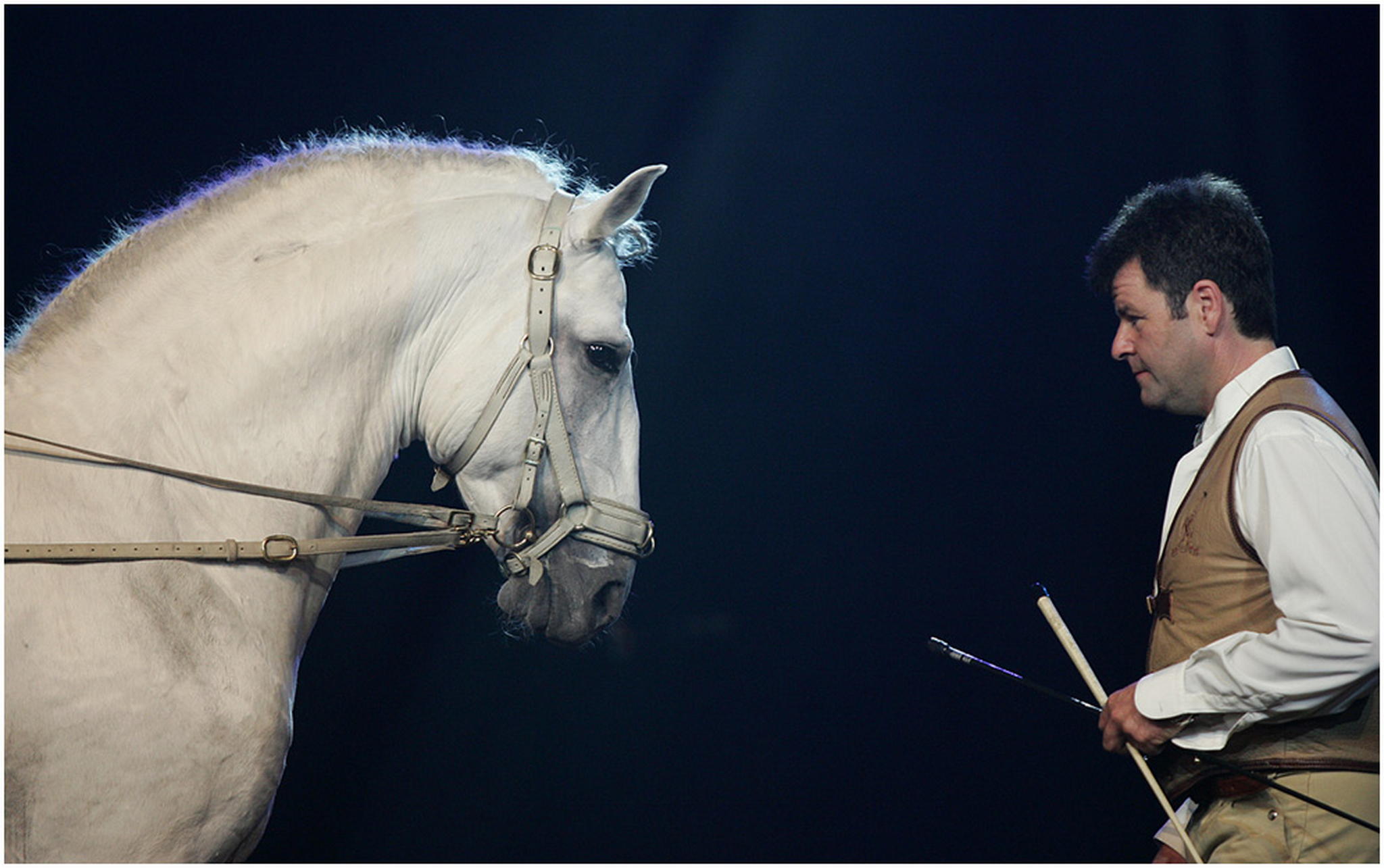 Das unsichtbare band 6001016239 o