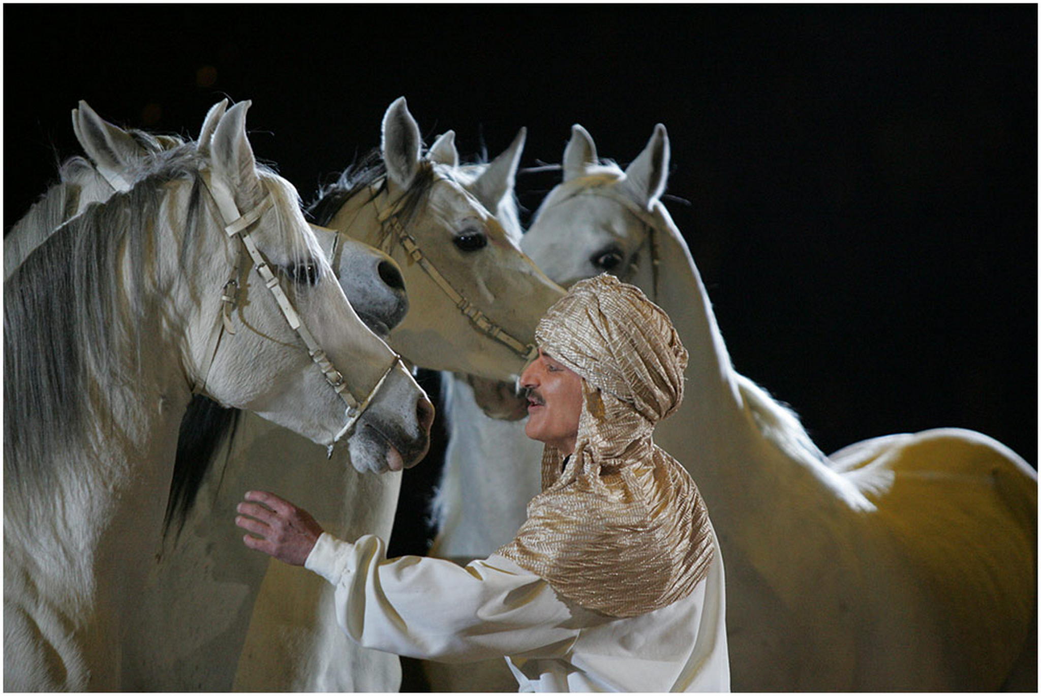 Der dompteur 6008525322 o