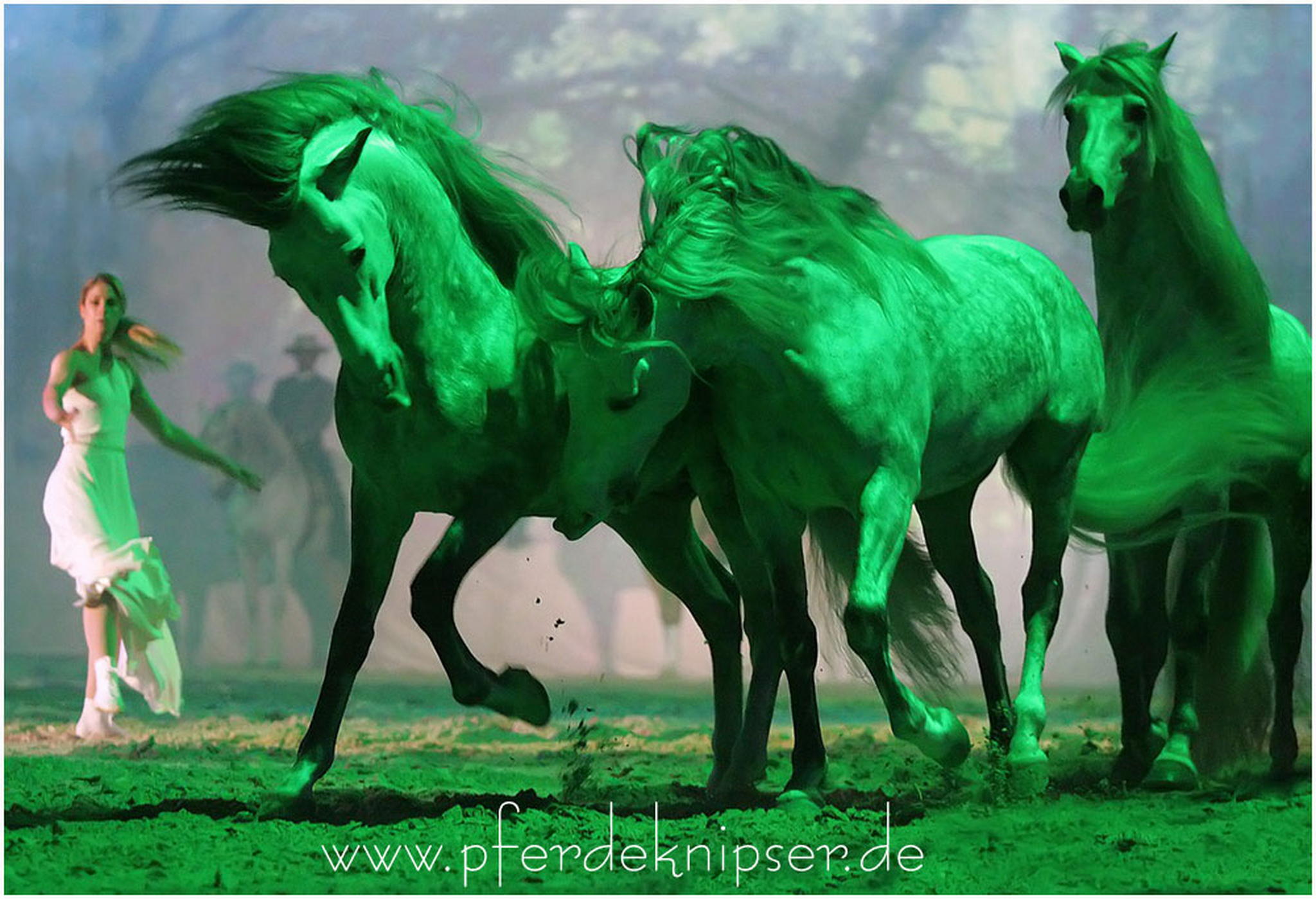 Die wilde truppe 6000999933 o