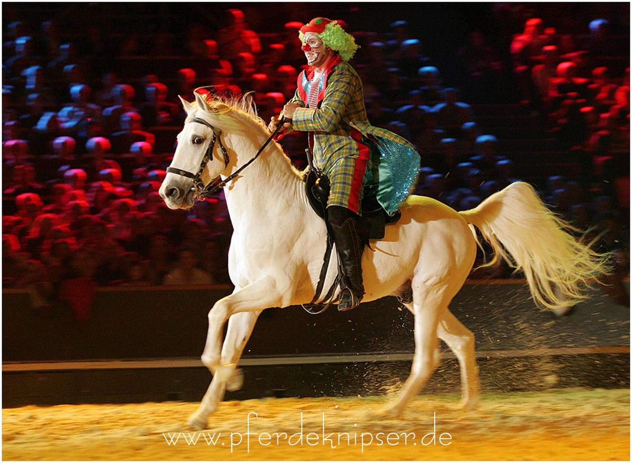 Edelclown 6000999843 o