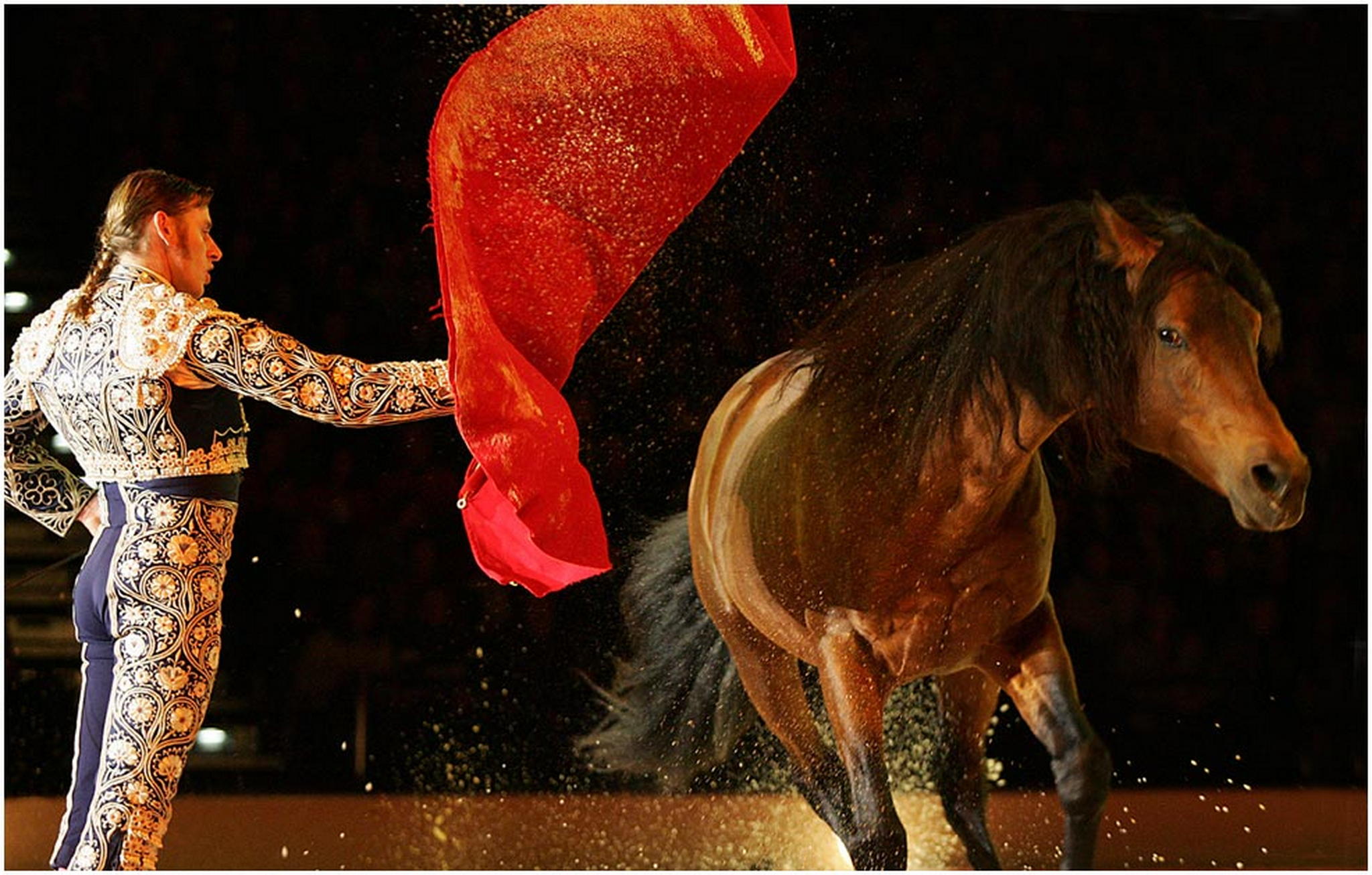 El torro 6007978413 o