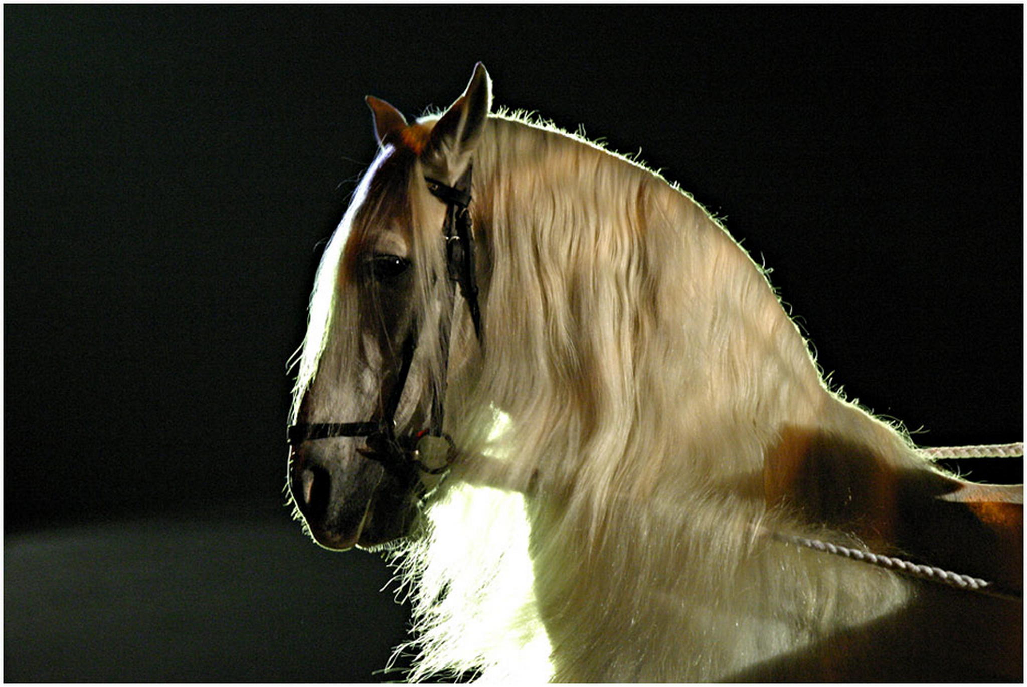 Er ist wirklich auergewhnlich 6009216981 o