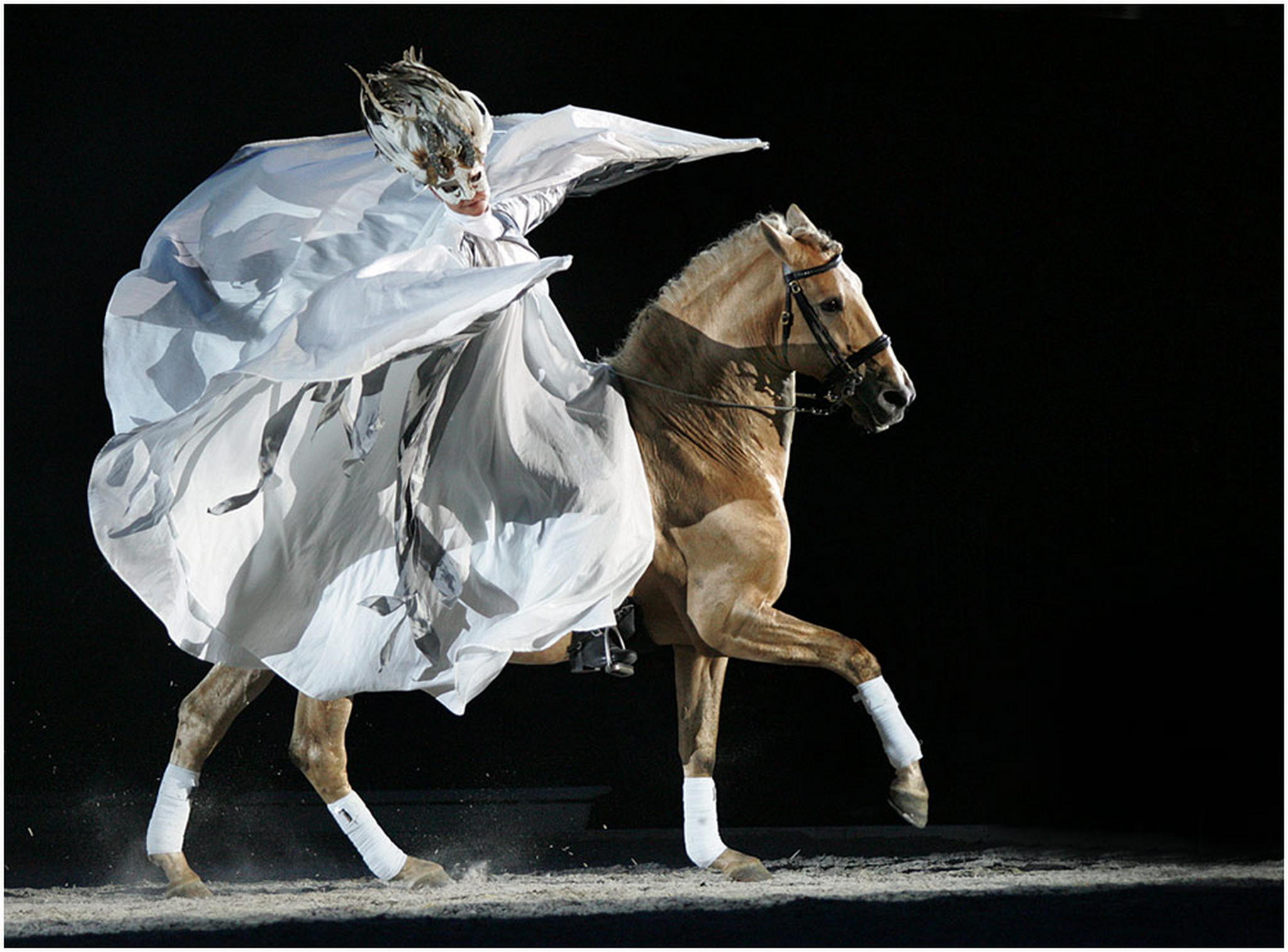 Fliegen 6007978049 o