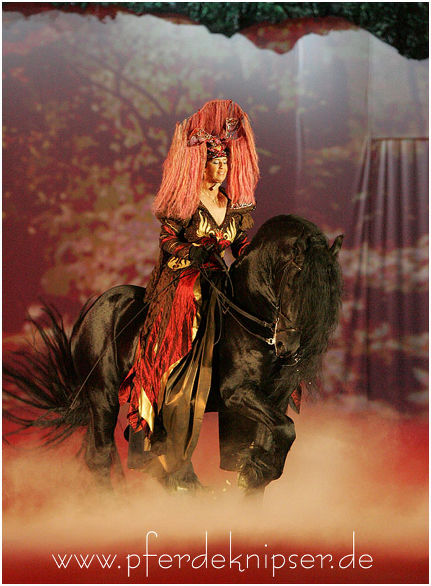 Friesenpower 01 6010999870 o