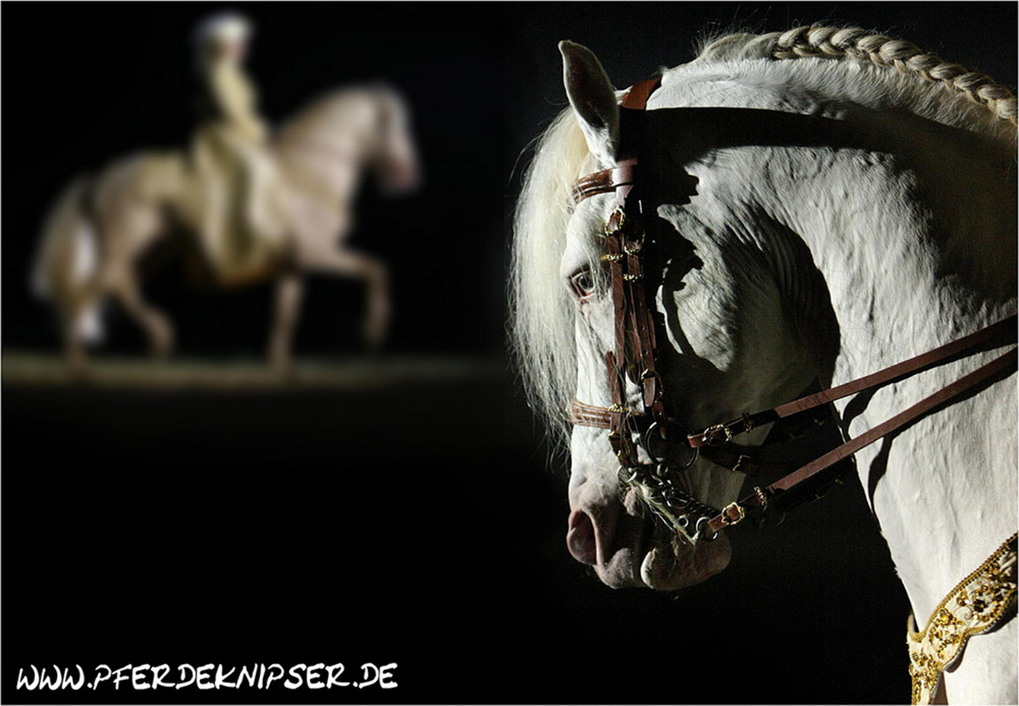 Grand pas de deux 6000886972 o