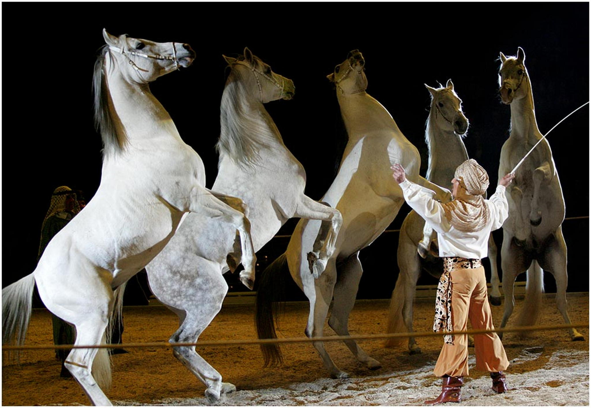 Gut gemacht 6007977781 o