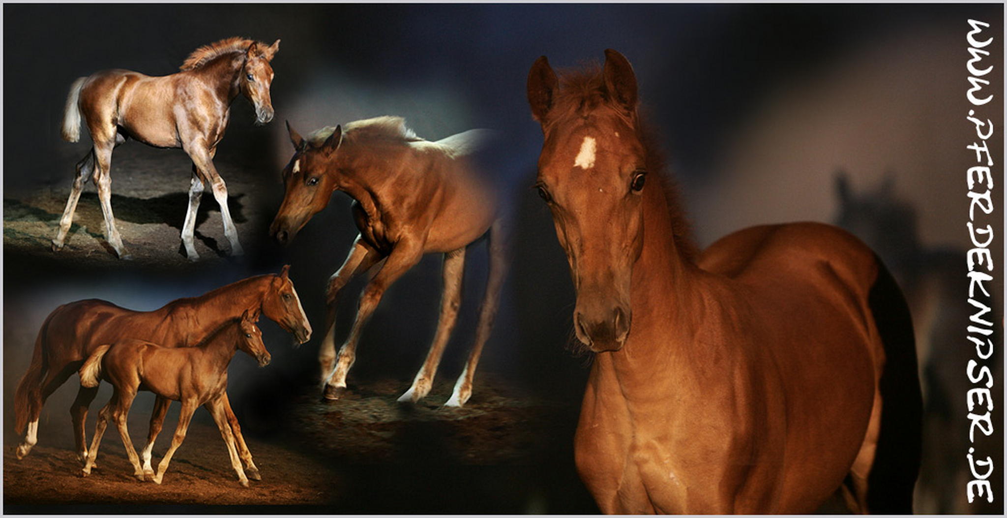 Herziges 6000426993 o