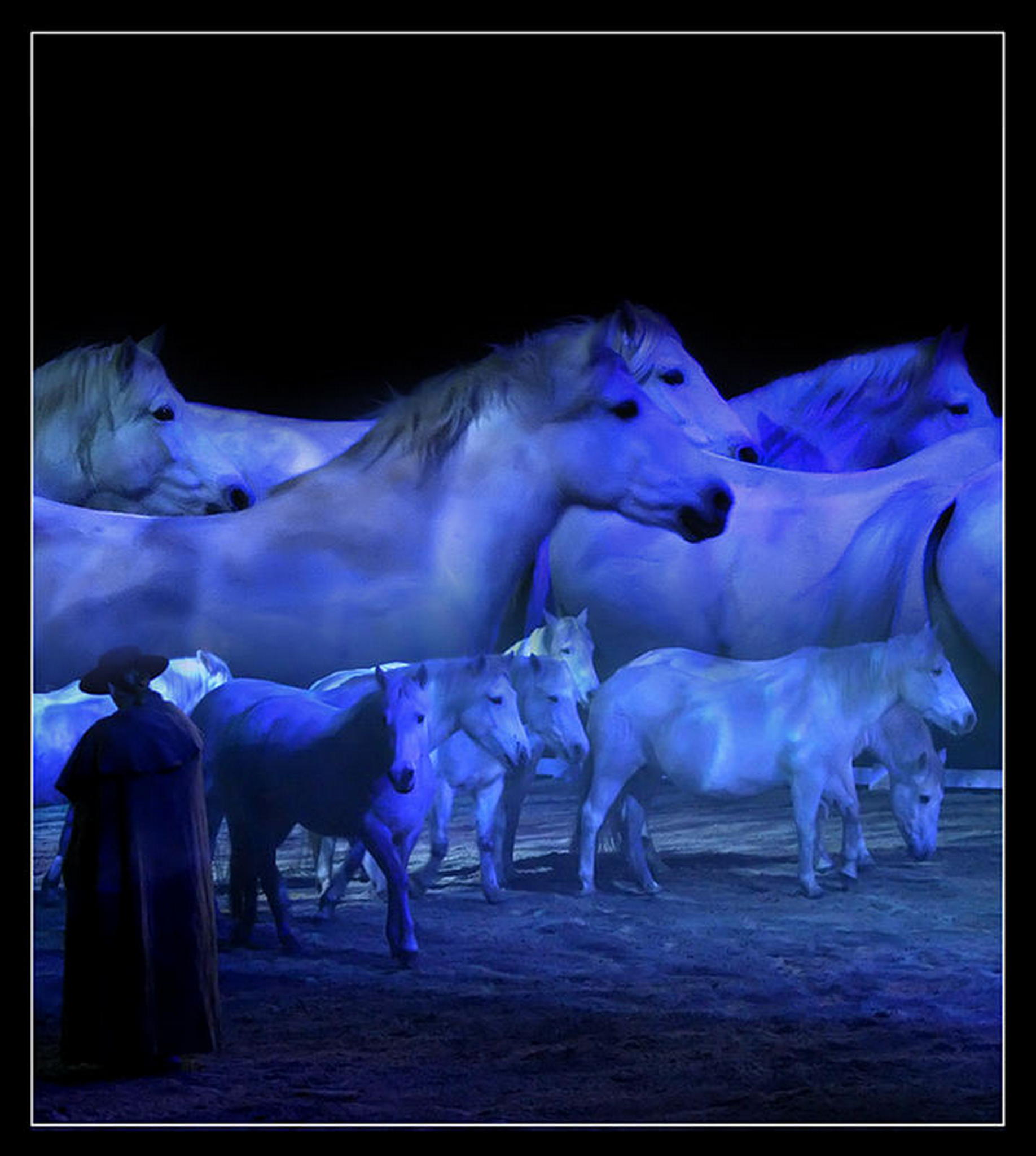 Ich hatte einen traum 6007979765 o