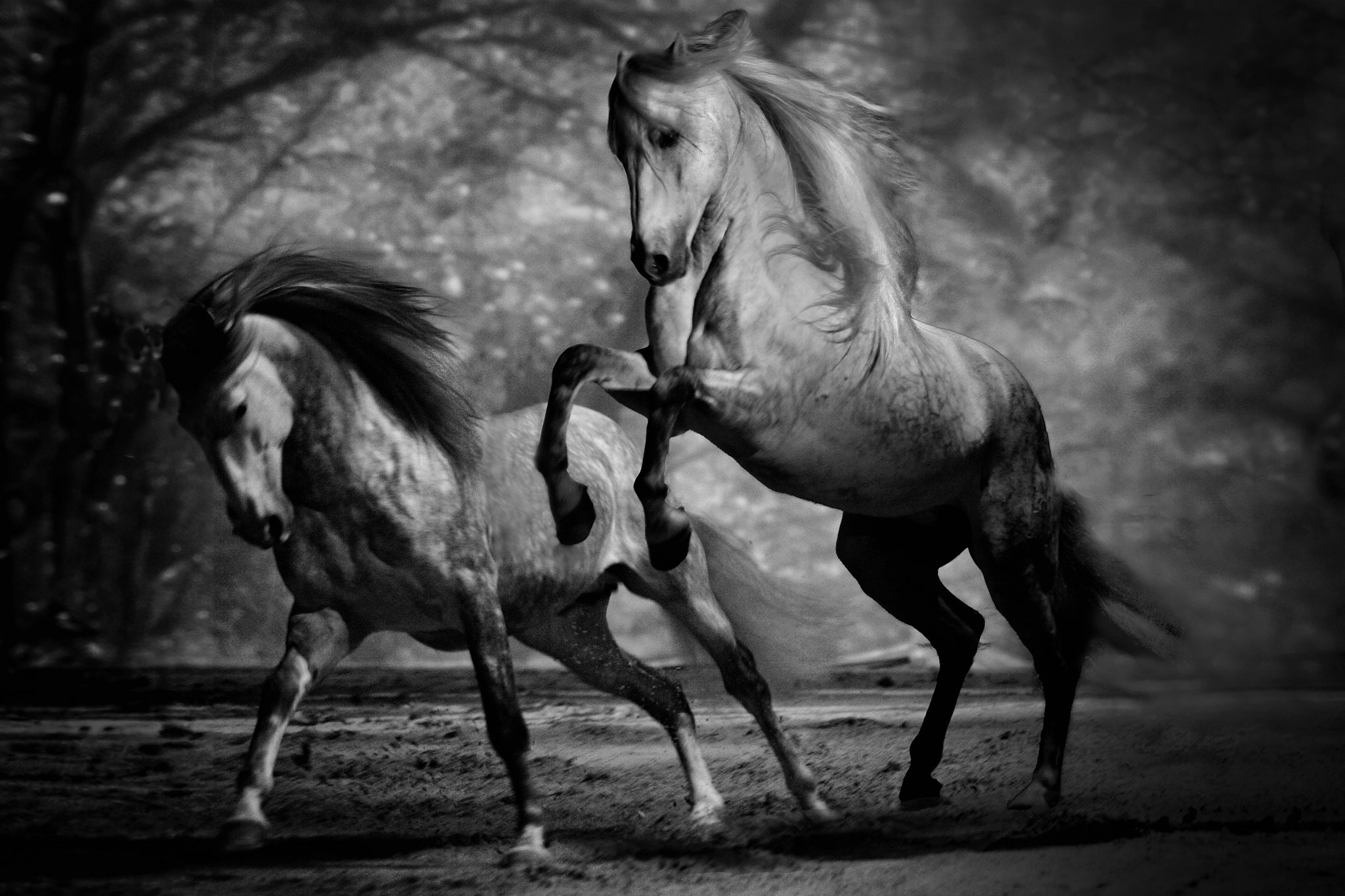 Kg9o6491sw kopie 53237845111 o