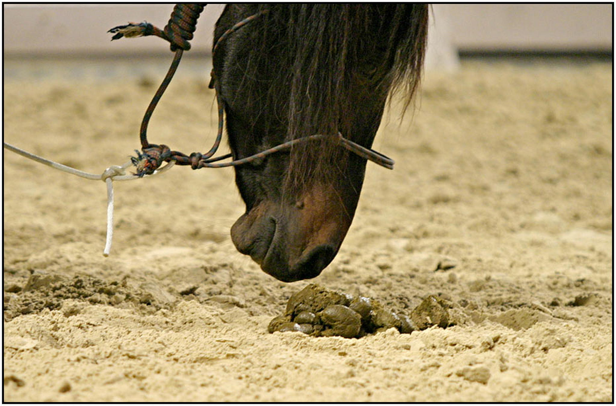 Kontrolle 6009766796 o