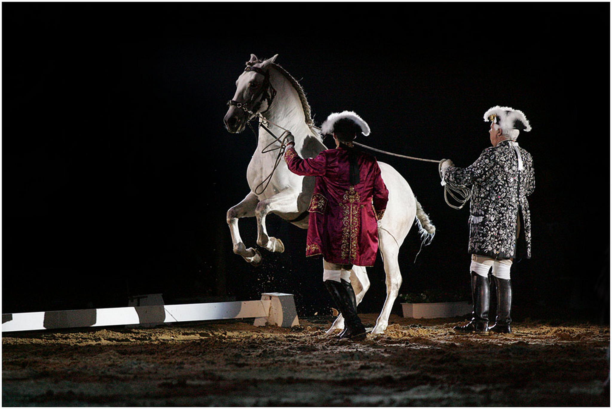 Levade ein bisschen zu wenig gesetzt 6001080641 o