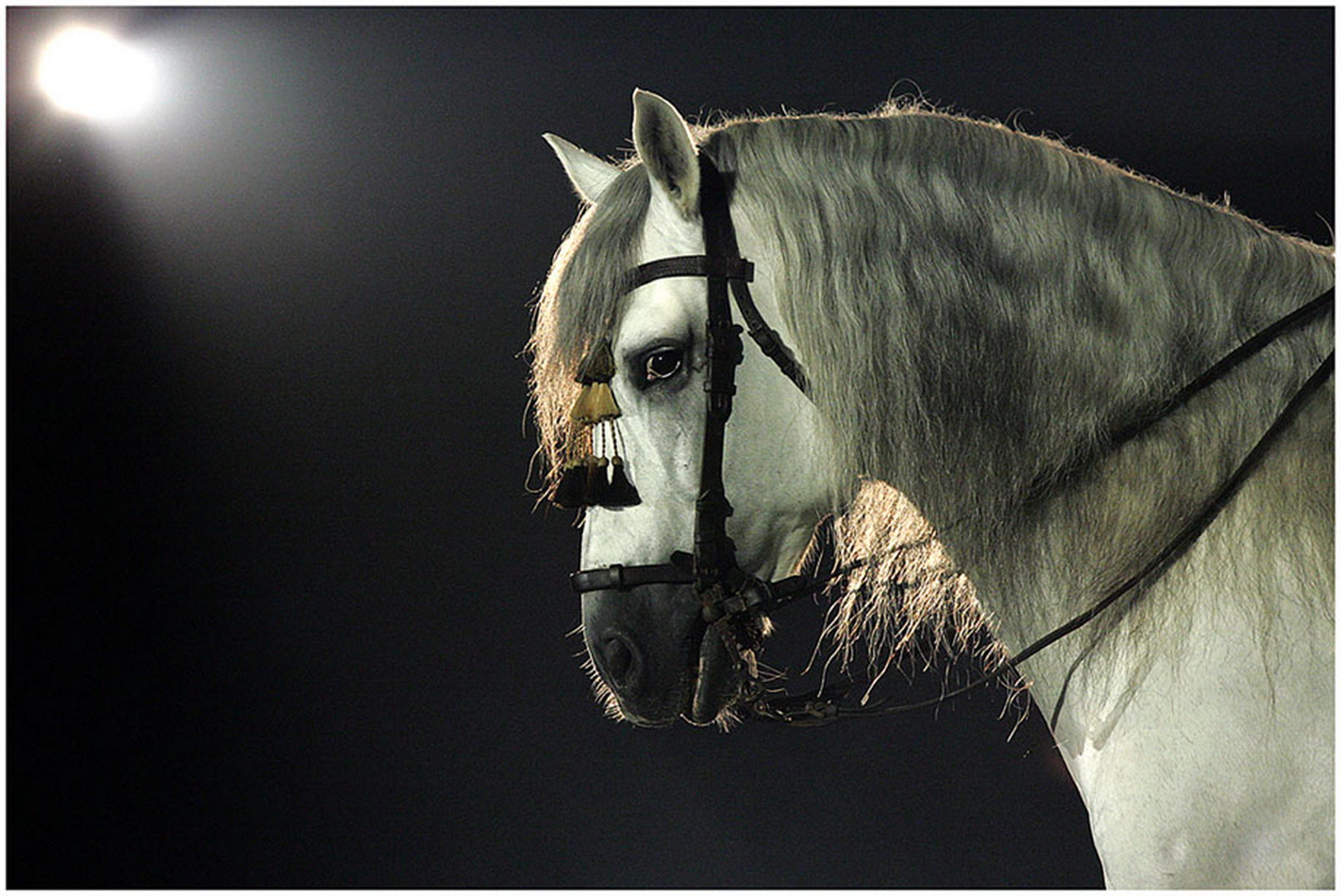 Lichtprofil 6007980147 o