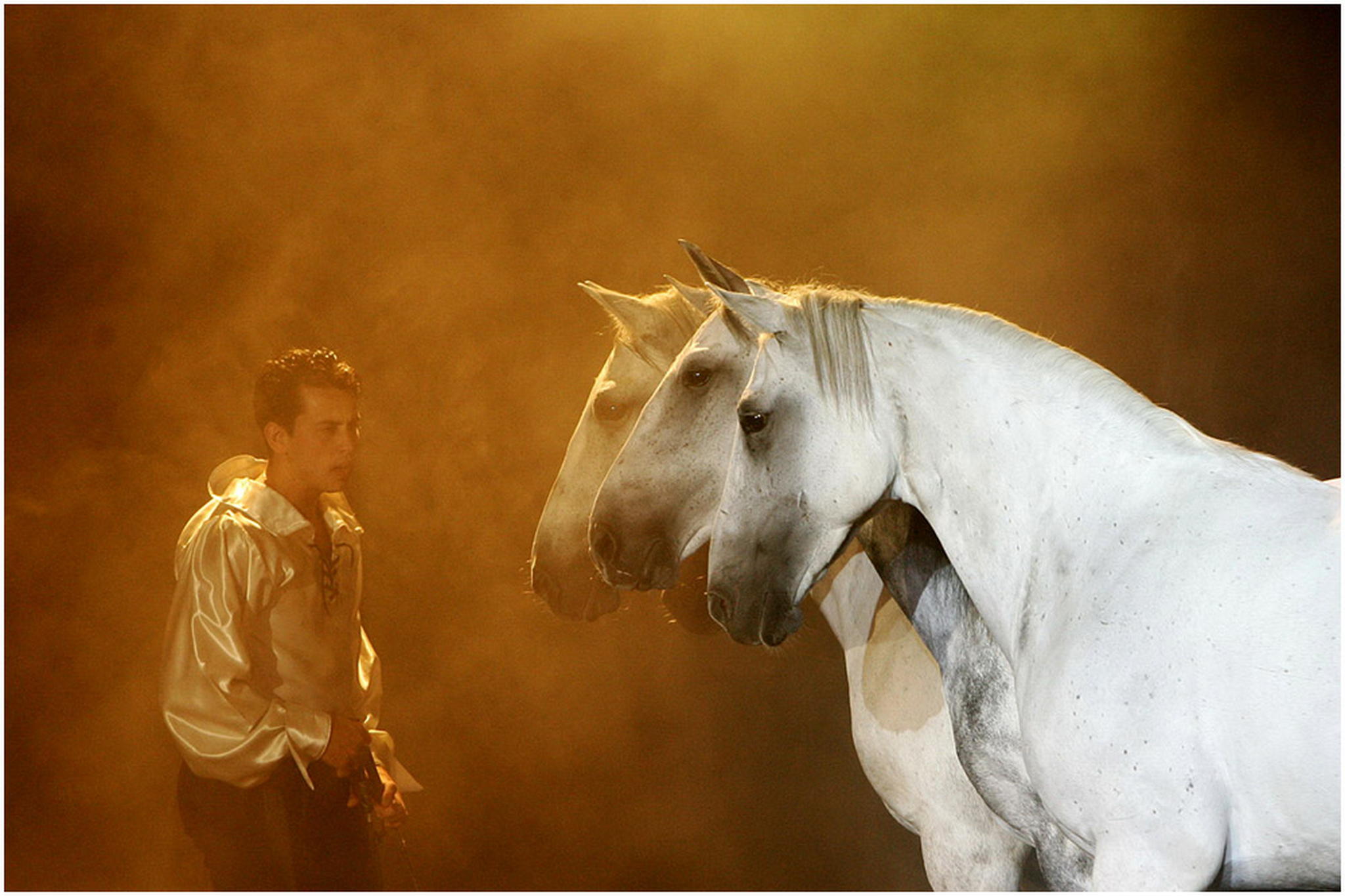 Lorenzo macht gnsehaut 6000427323 o