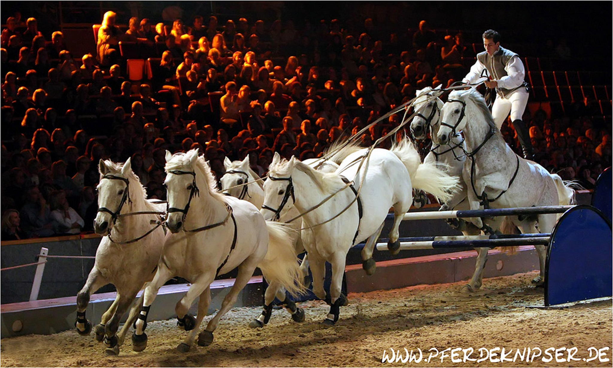 Lorenzo 6000338733 o